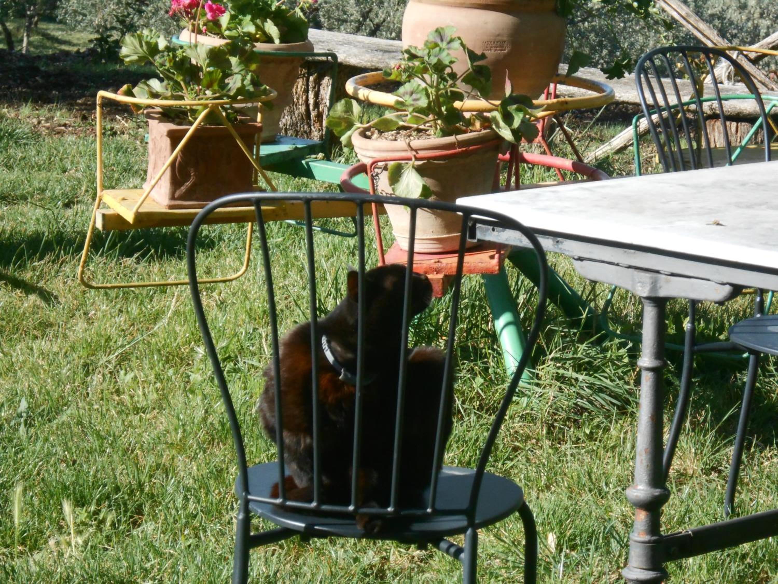 Photo 22