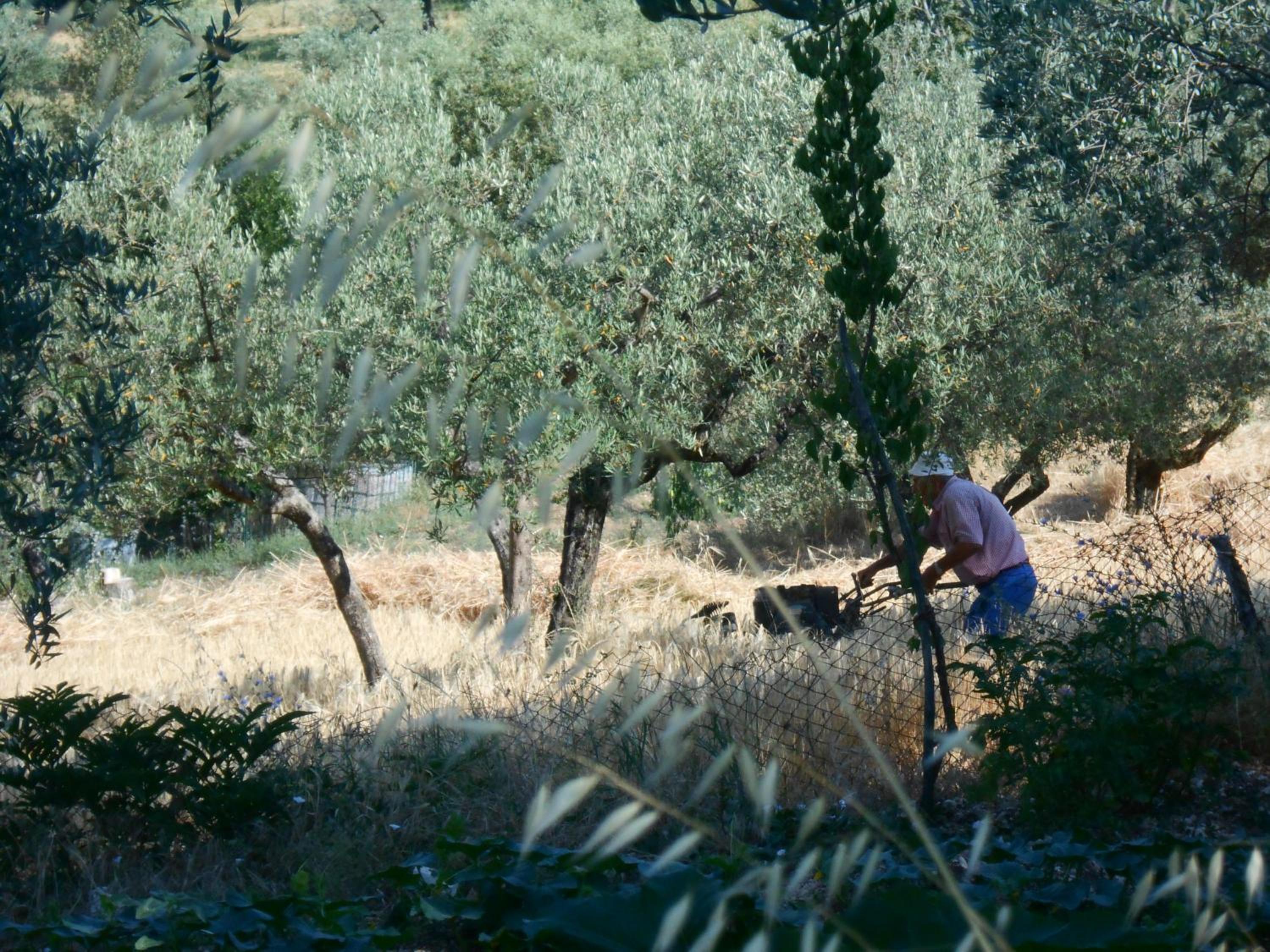 Photo 19