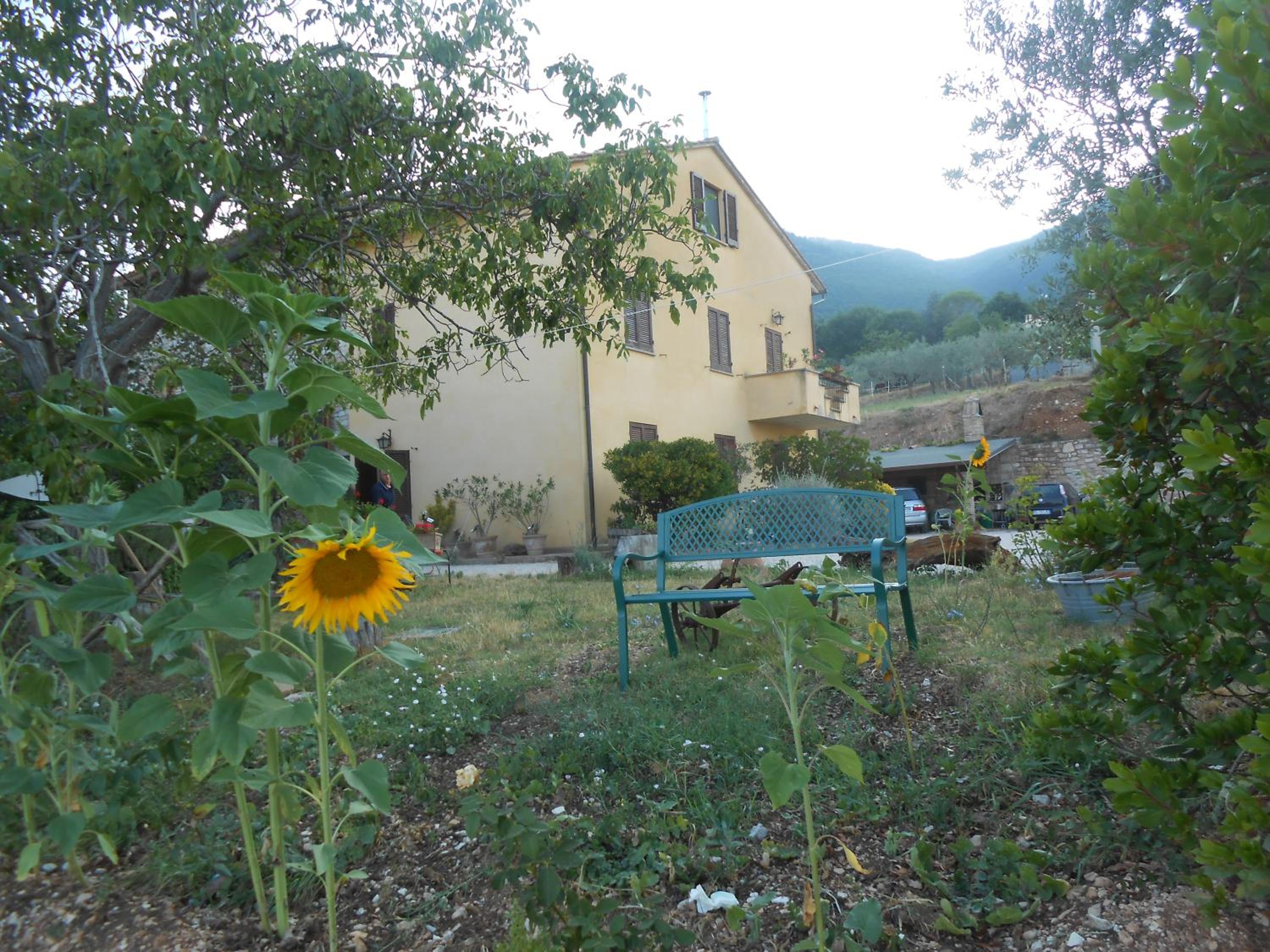 Photo 17
