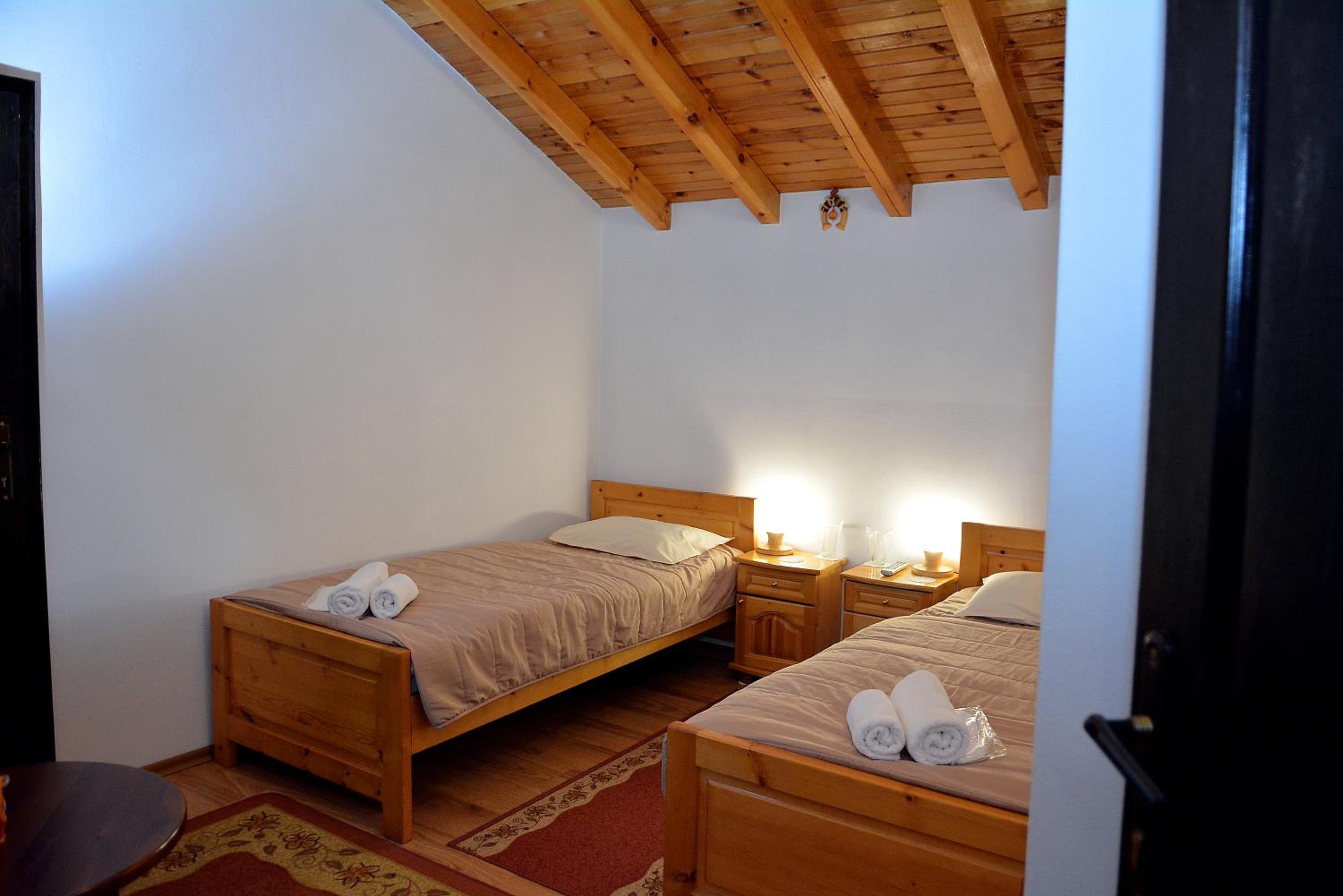 Bansko Vacations - Trenchova Guest House - Property Image 43