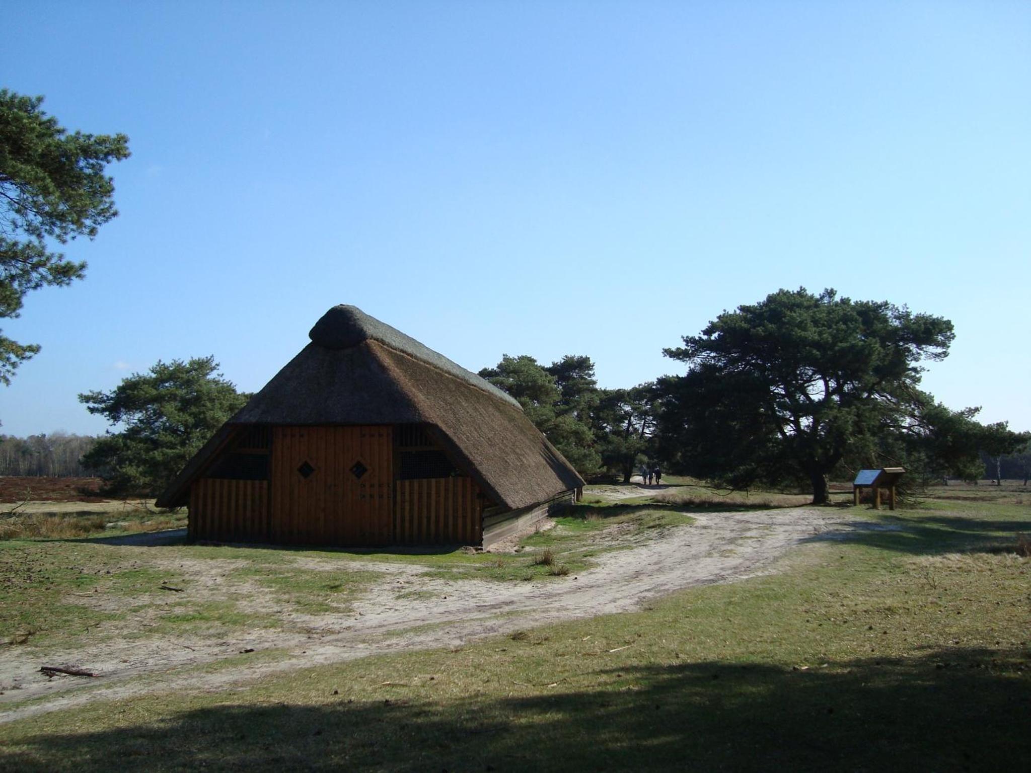 Photo 18