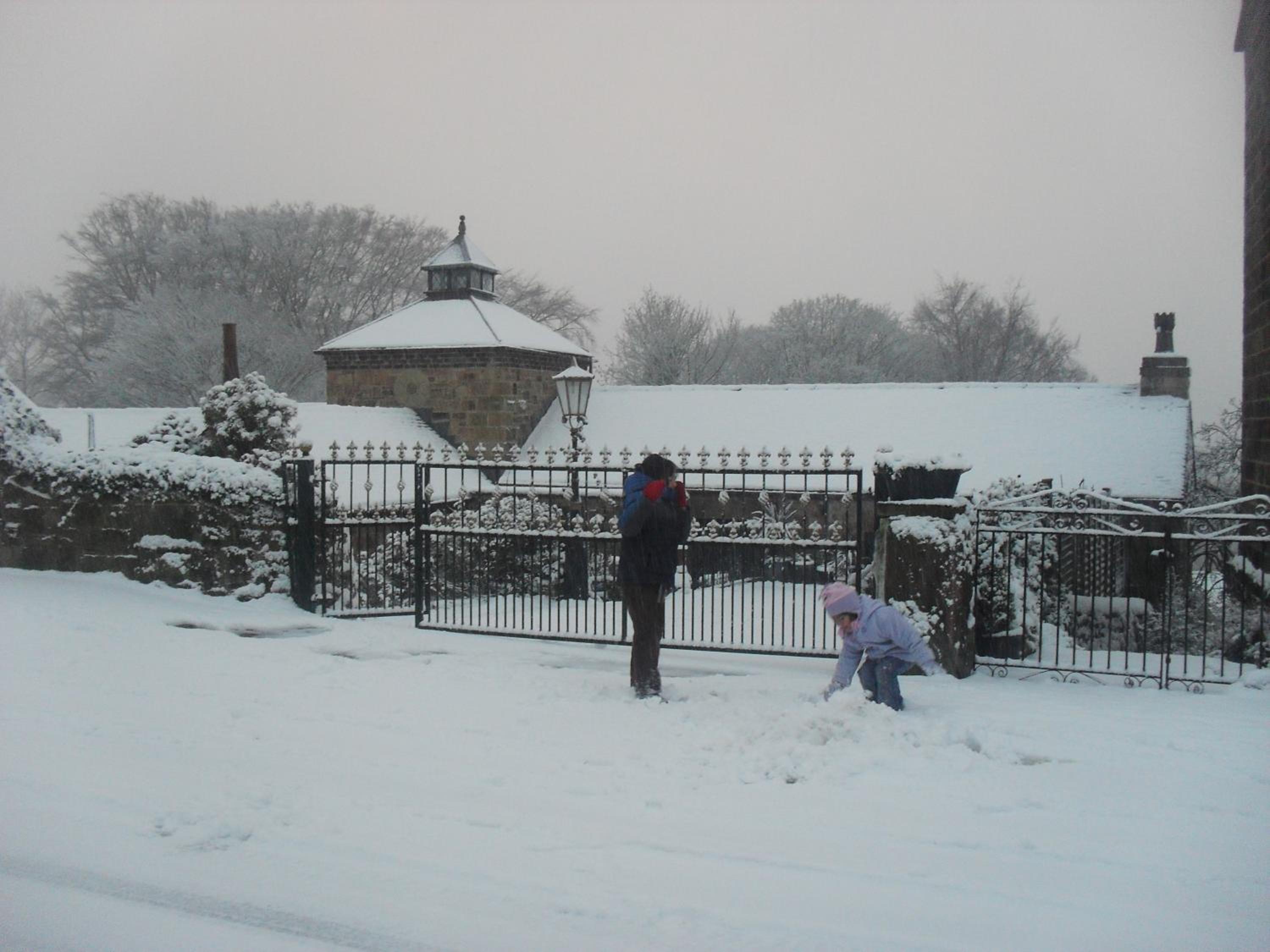 Photo 42