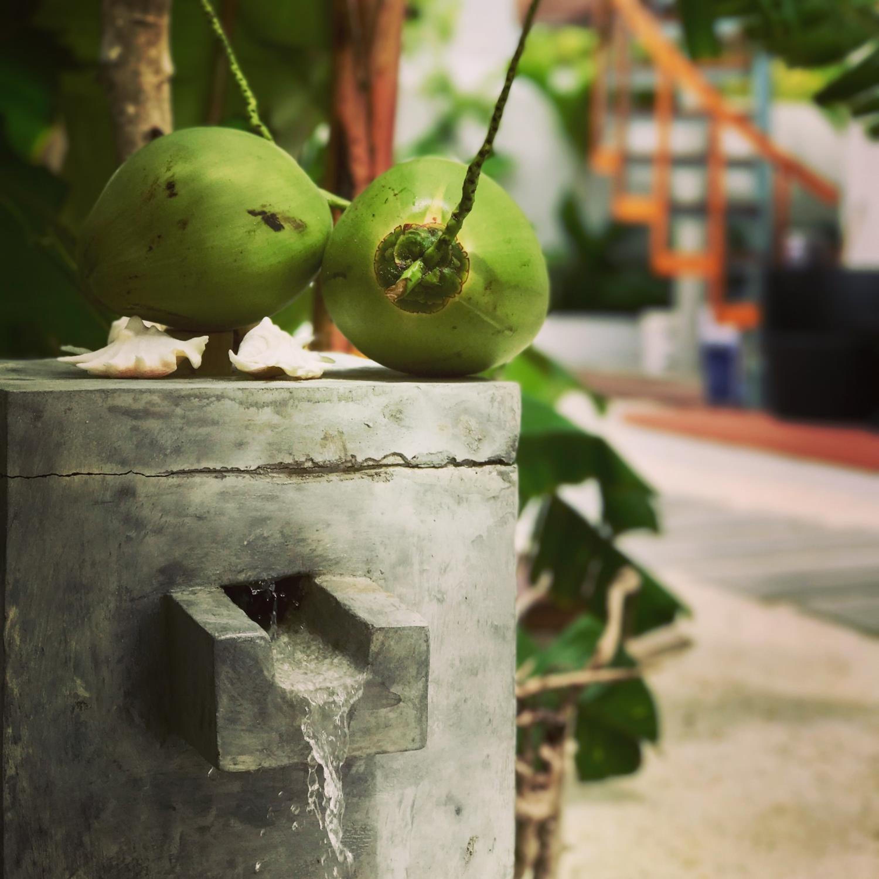 Veli Vilaa Dhiffushi - Beachfront