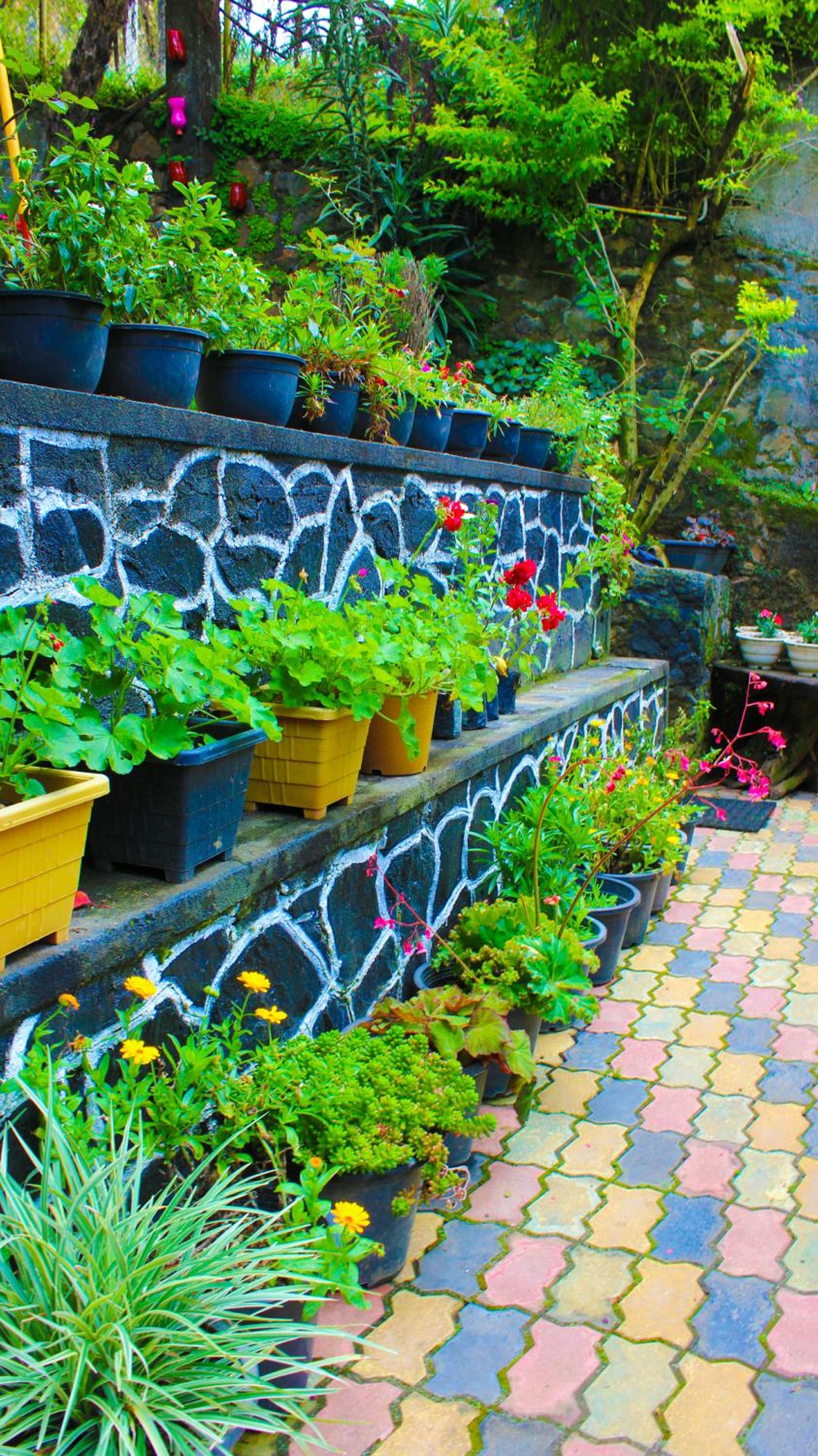 Green Haven Villa & Guest House