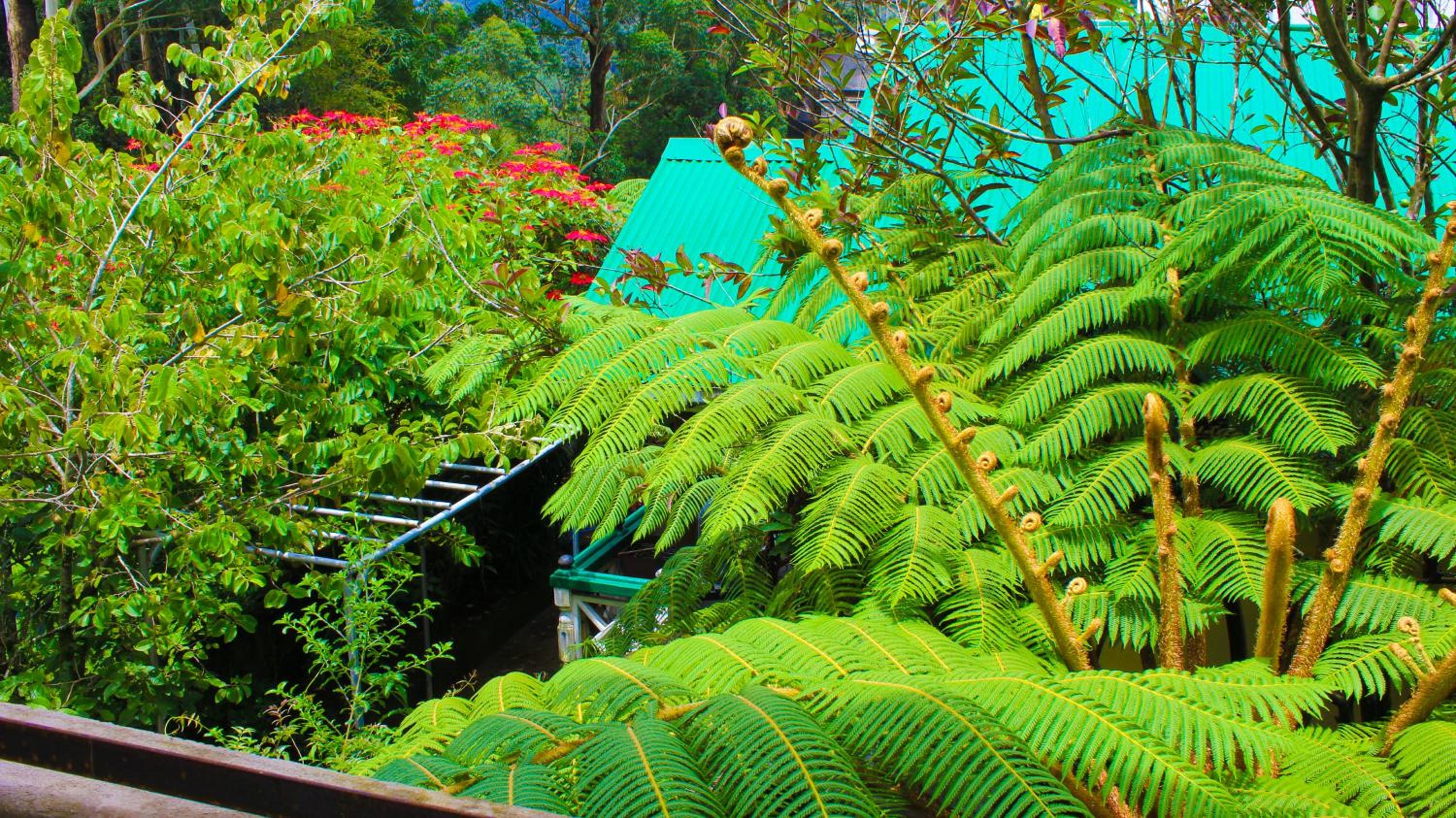 Green Haven Villa & Guest House