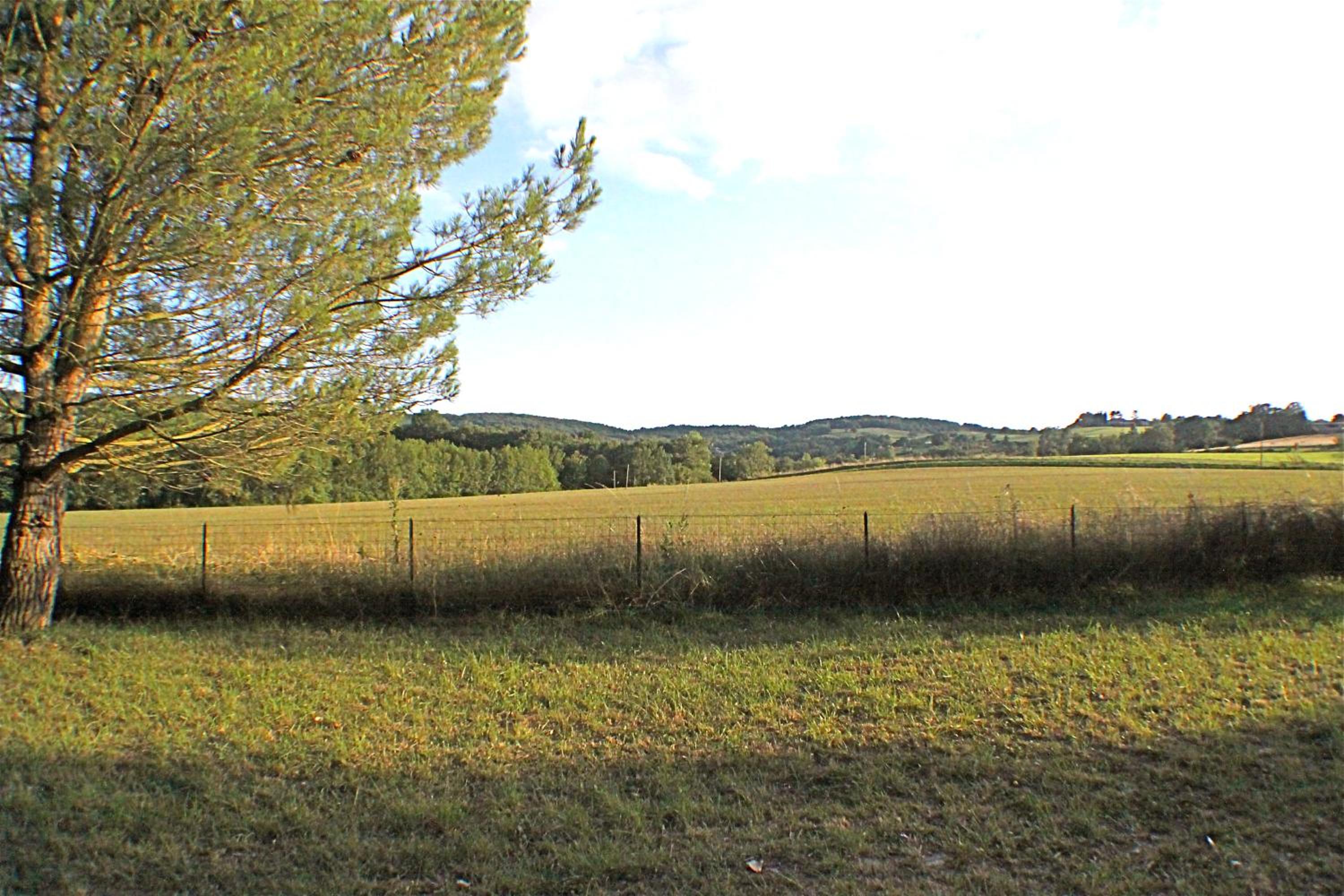 Gite La Luciole