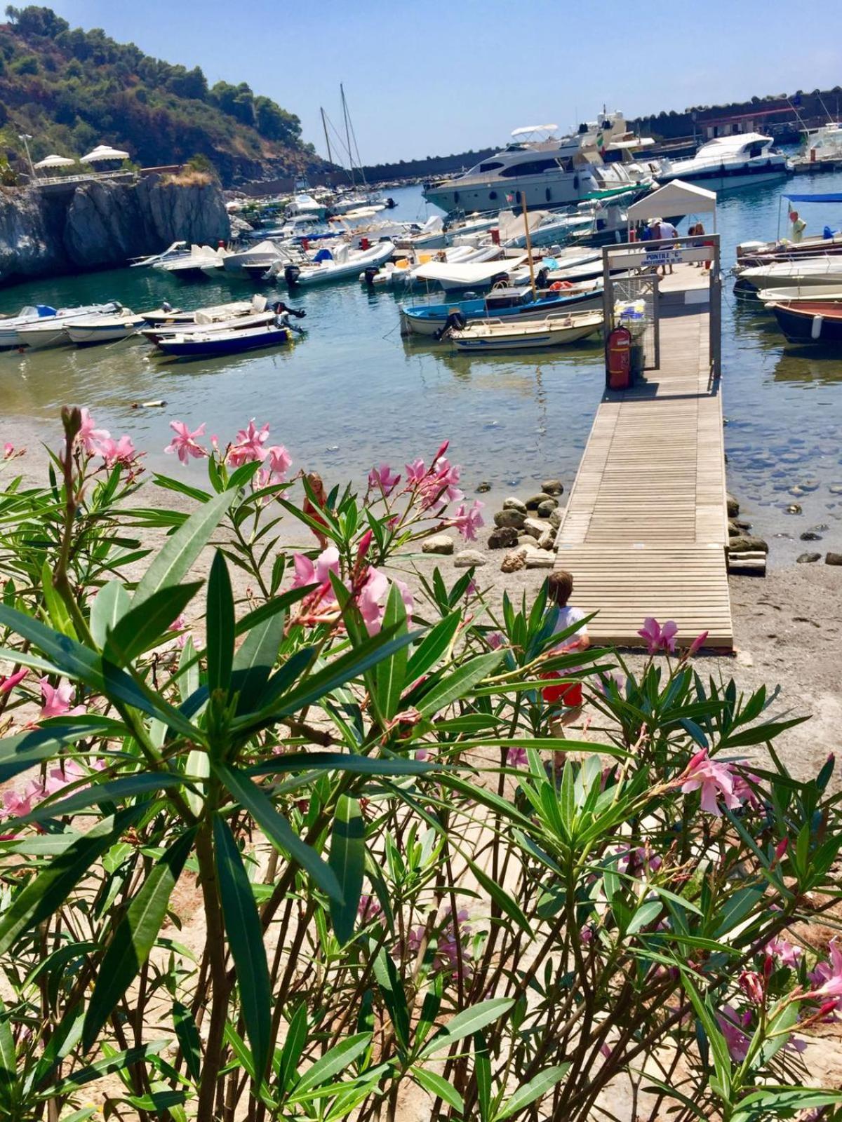 B&B La Torretta