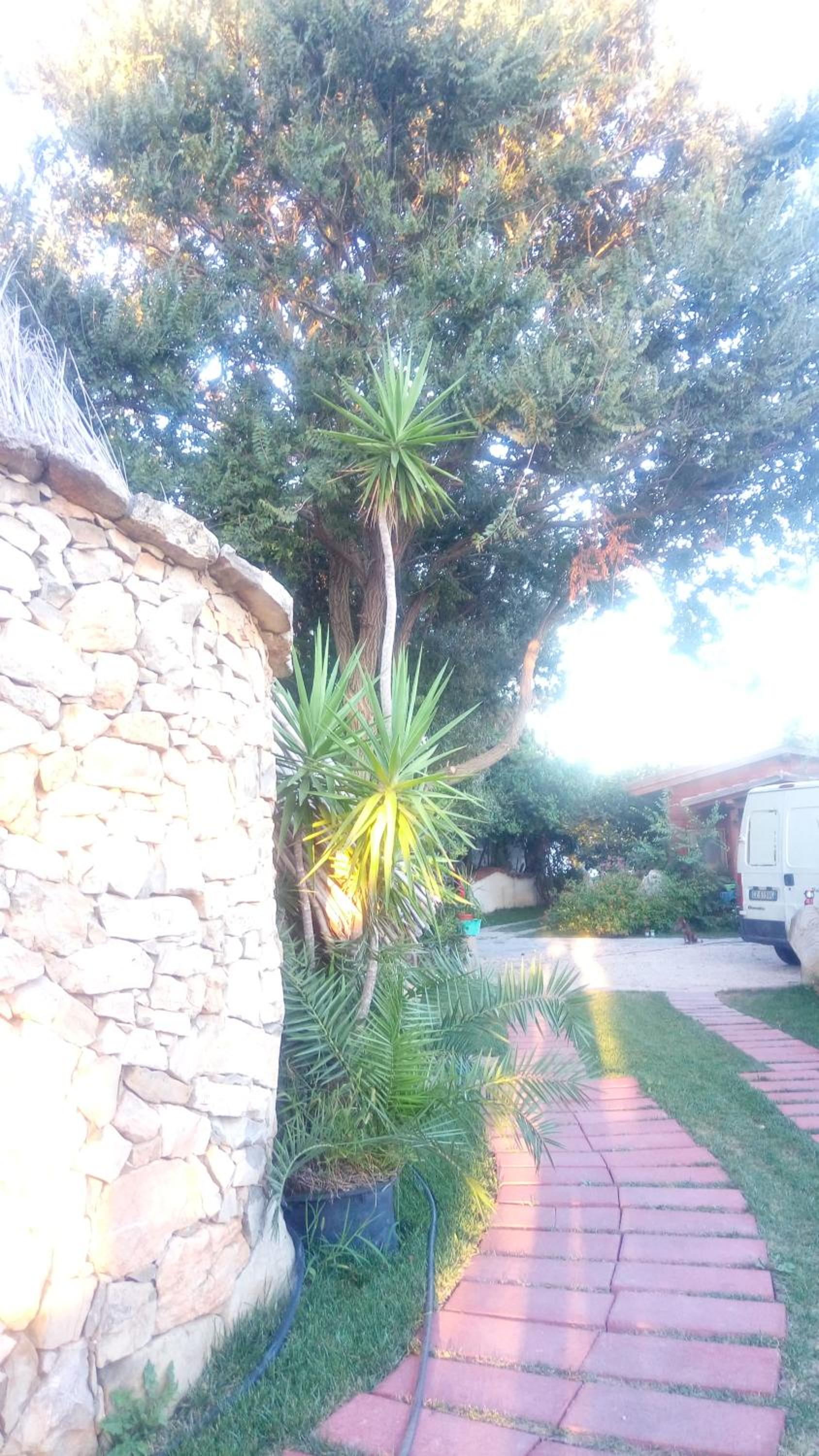 B&B Domo De Pedra view 4