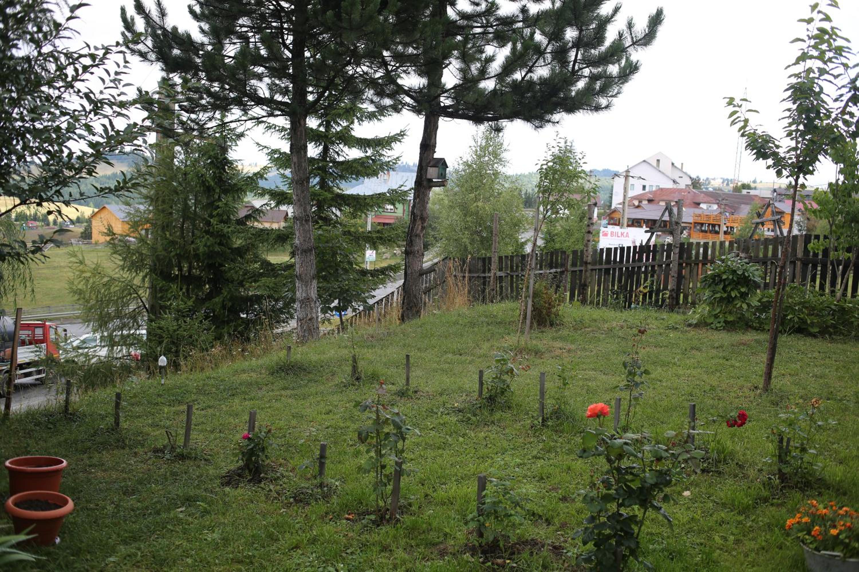 Photo 42