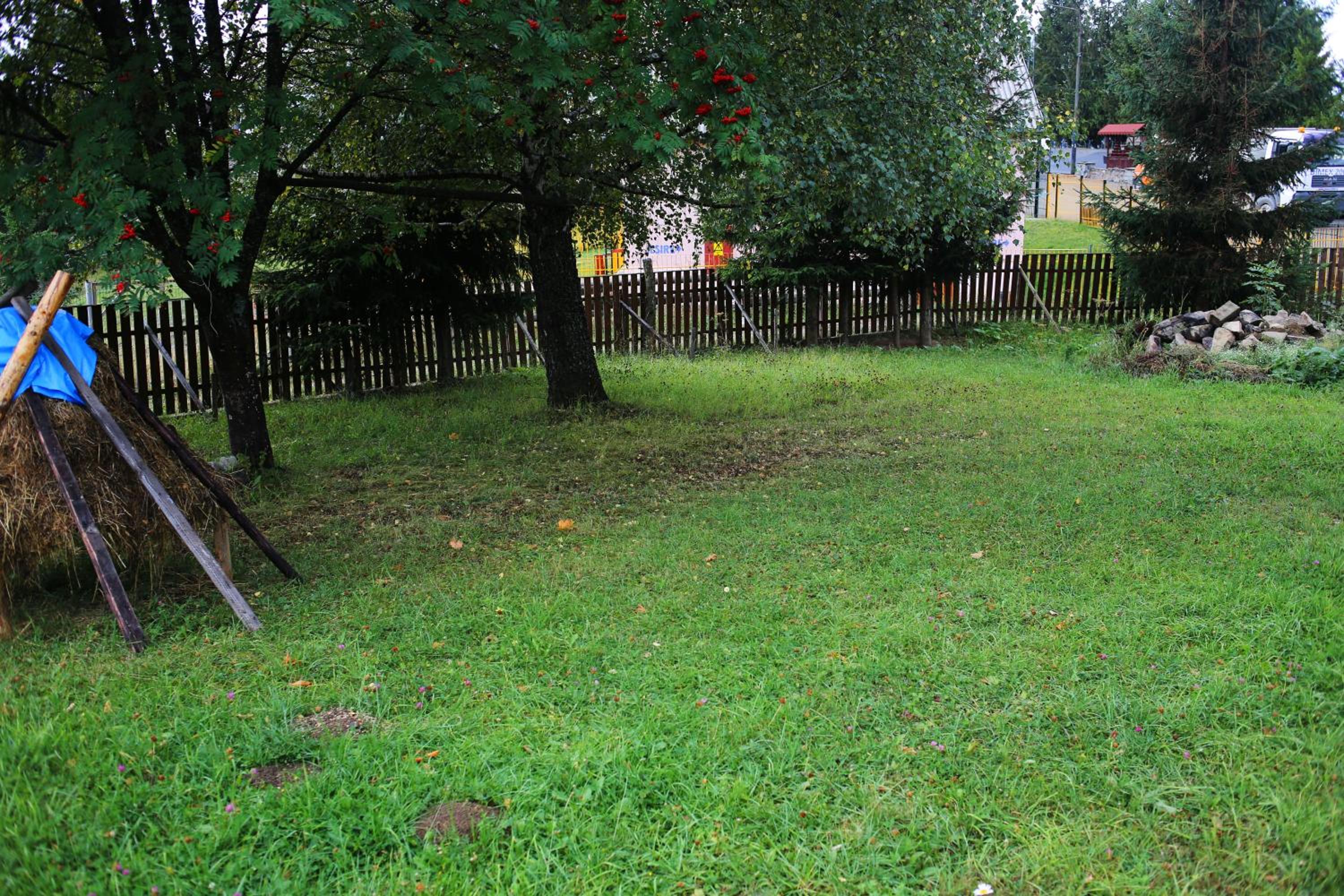 Photo 37