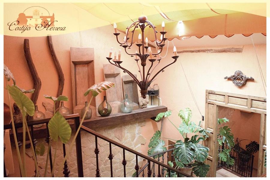 Casa Rural Herrera, fotografía 3