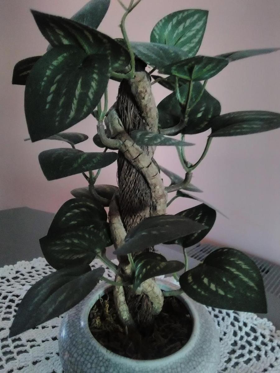 Photo 28