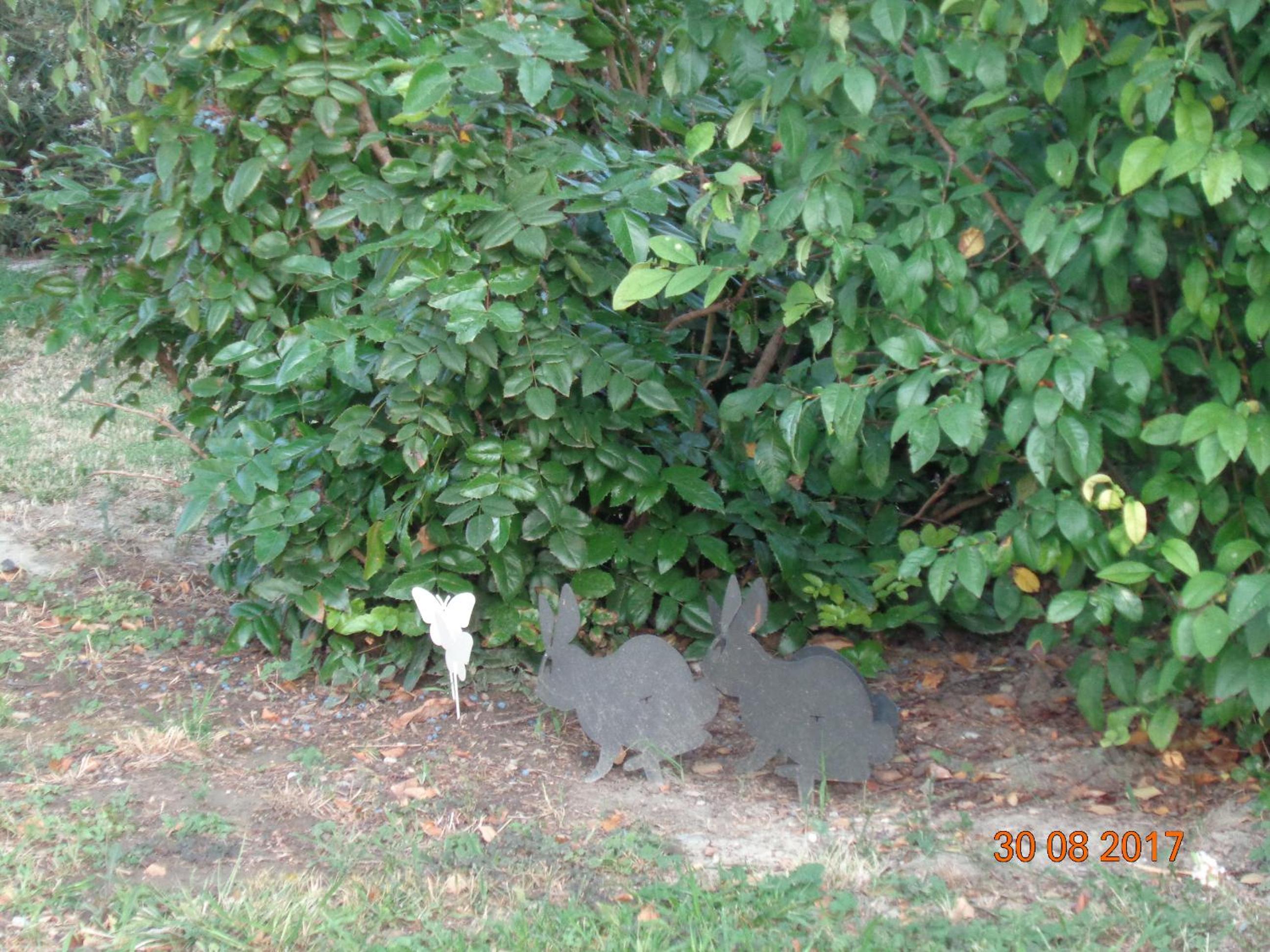Green House in campagna - Property Image 100