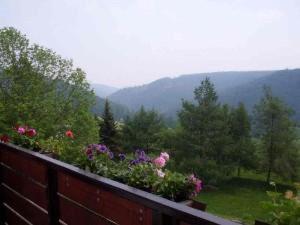 Gasthaus & Pension Zum Hirsch