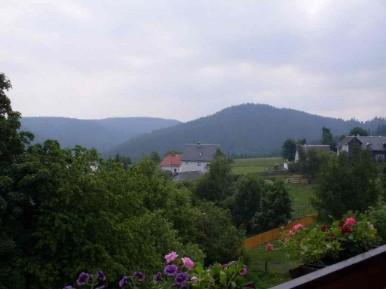 Gasthaus & Pension Zum Hirsch