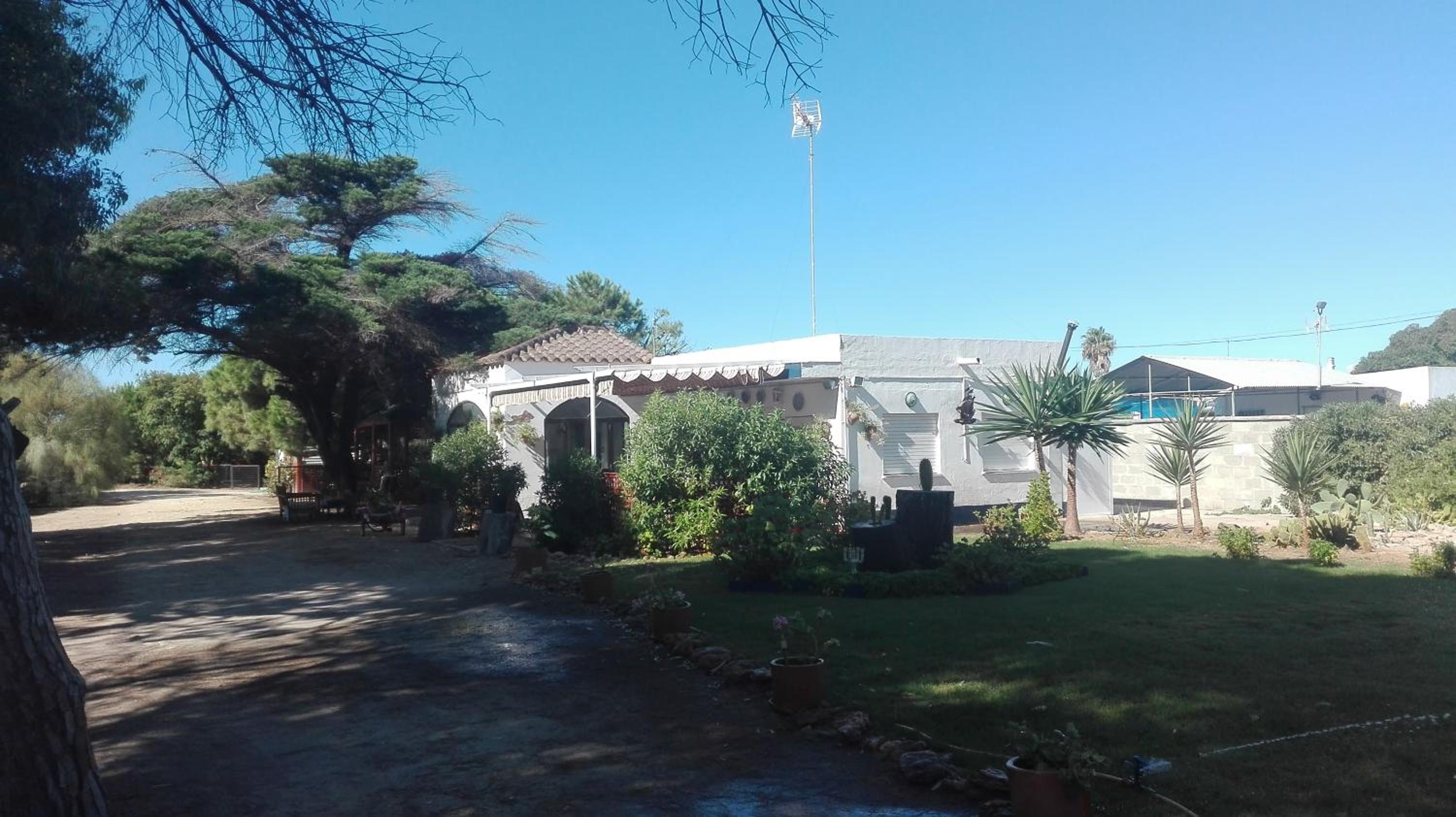 Photo 19
