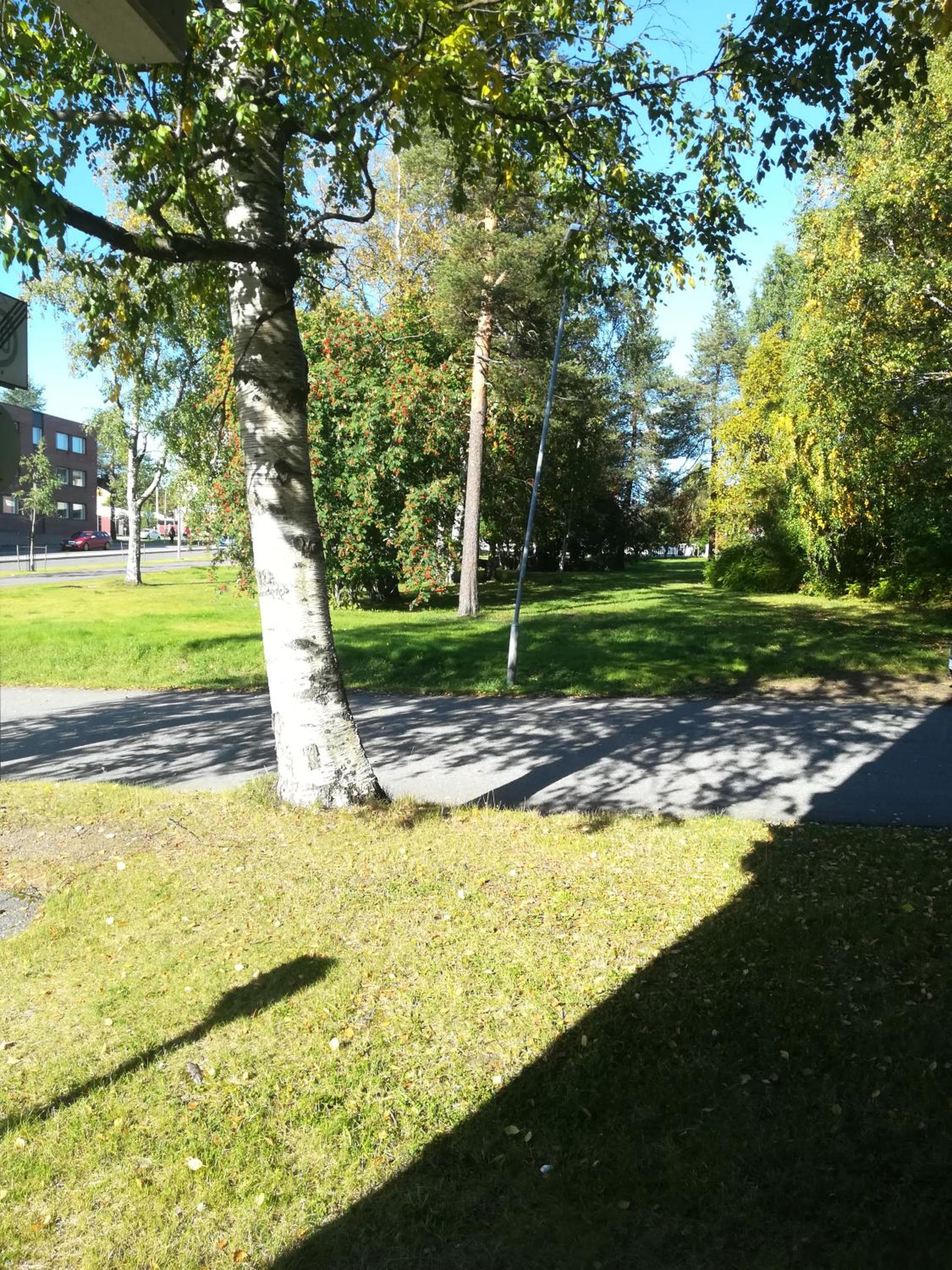 Photo 19