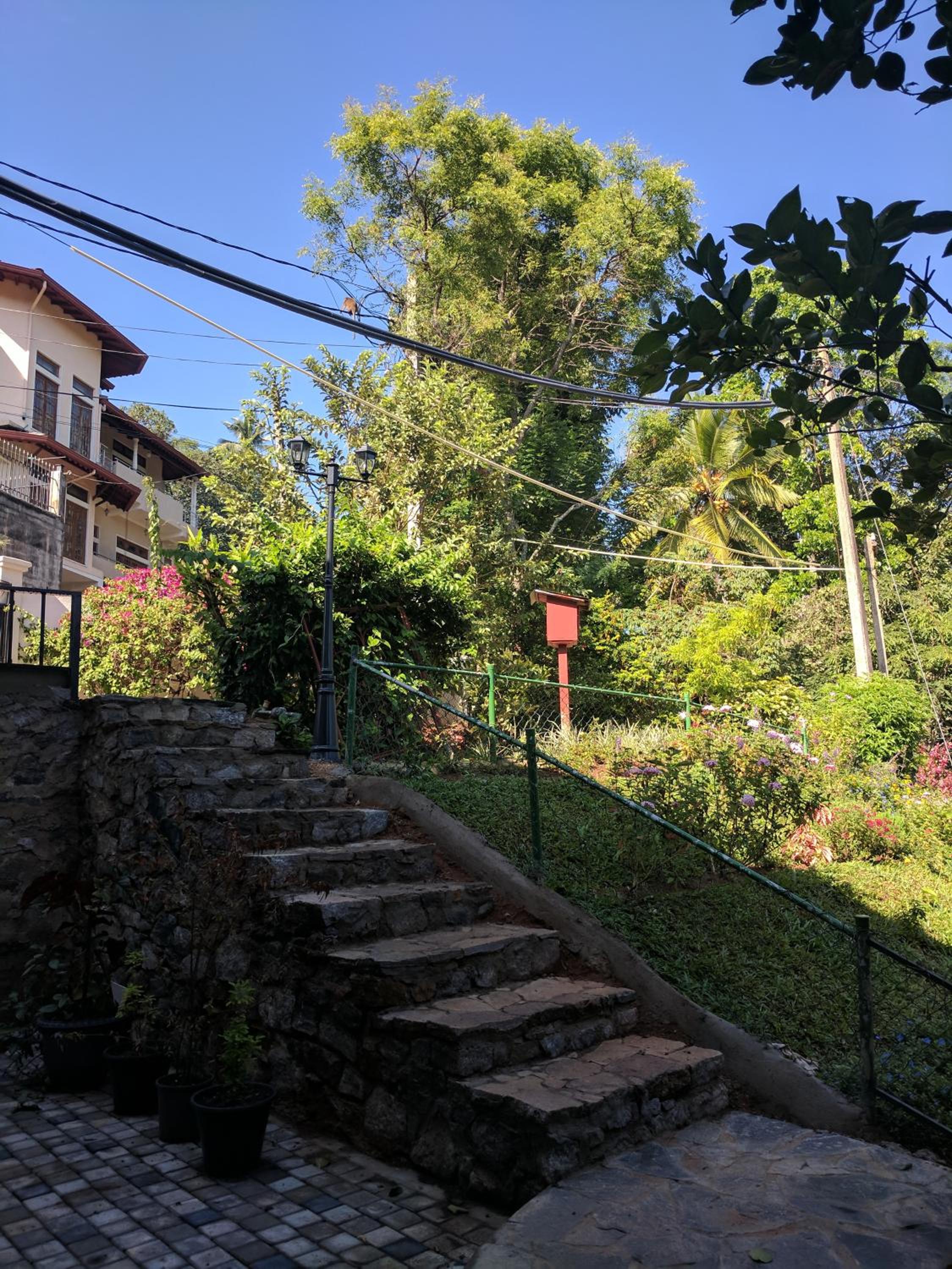 Photo 102