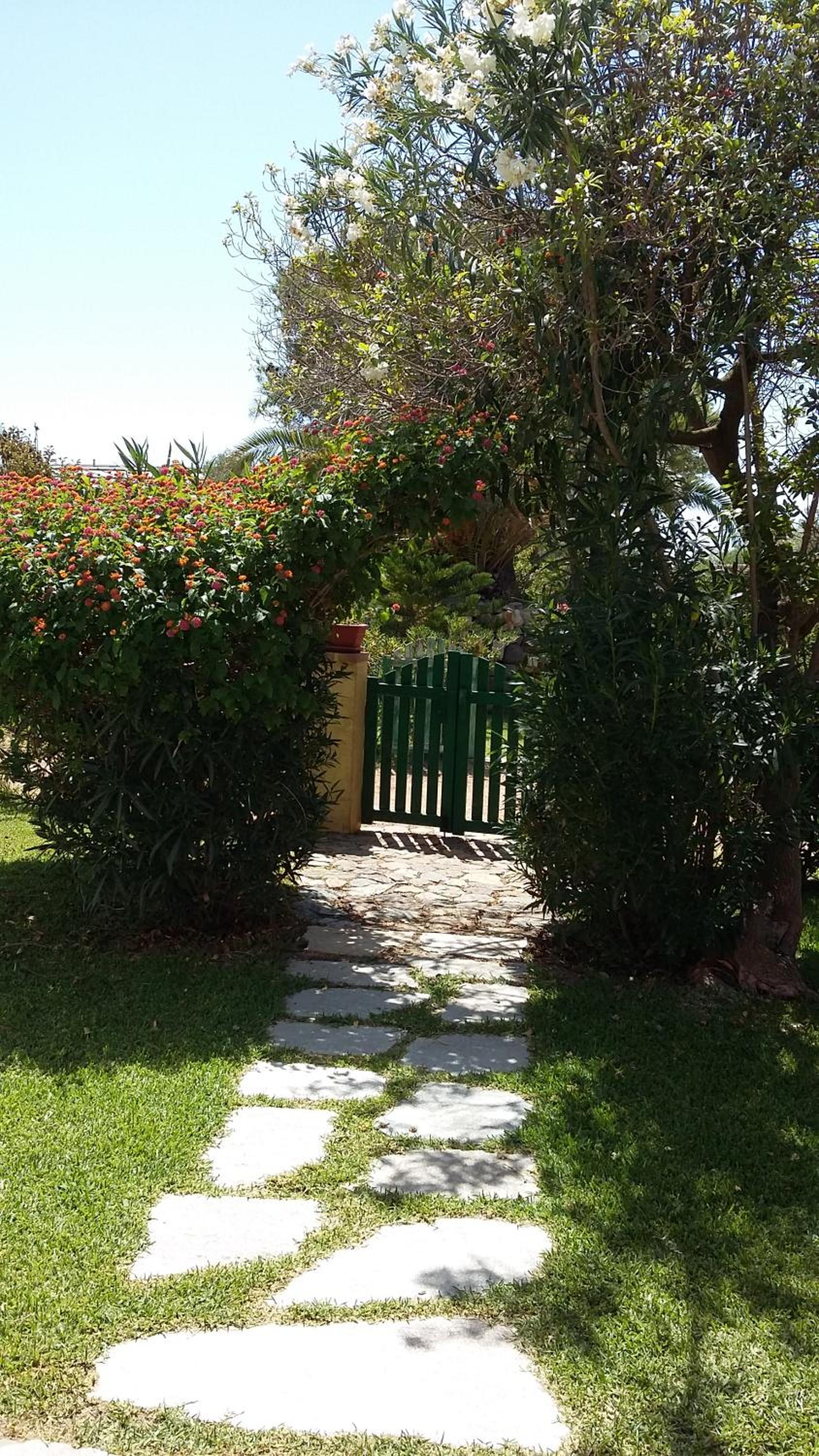 Photo 31