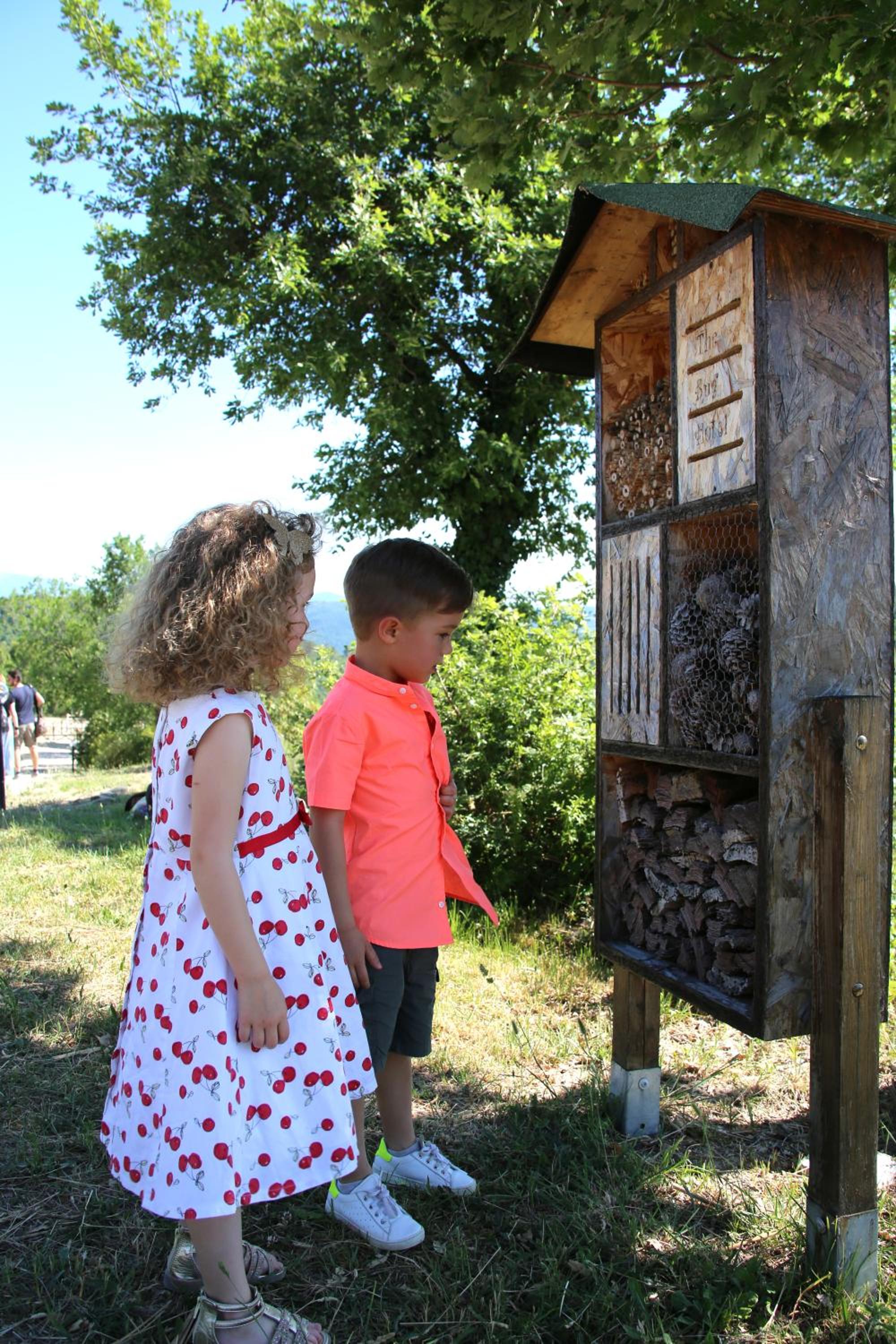 Photo 14