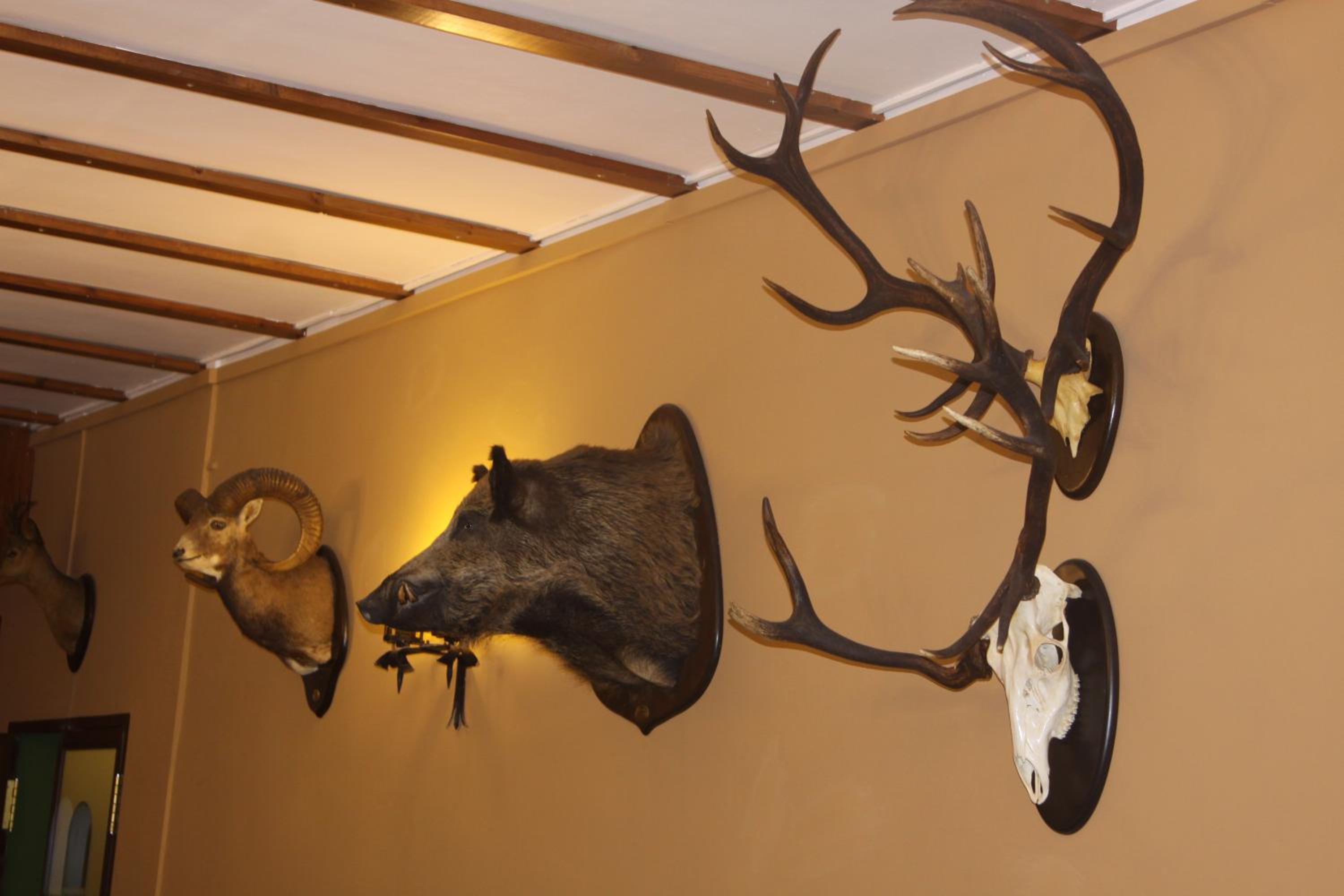 Hostal La Zarza