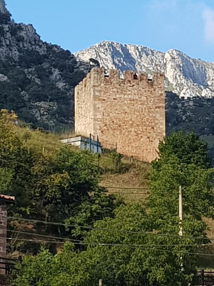 Casa Rural Pocotrigo