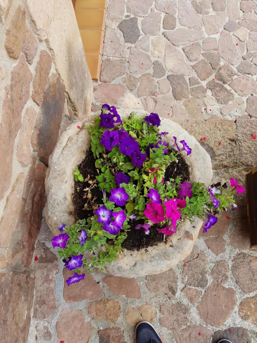 Casa Rural Pocotrigo
