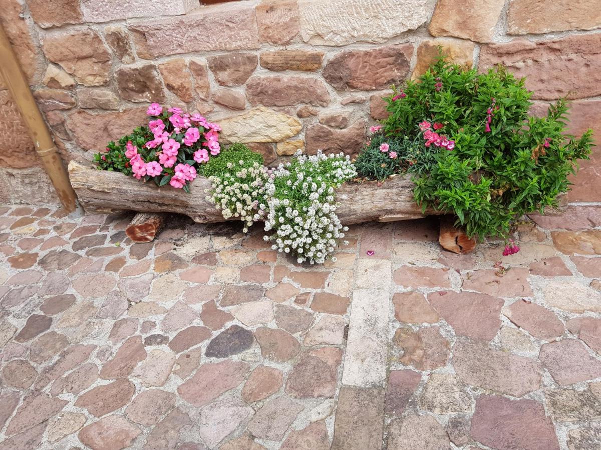 Casa Rural Pocotrigo