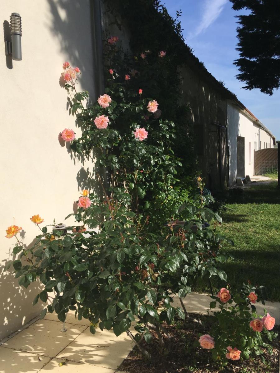 Ferme de Maillezais