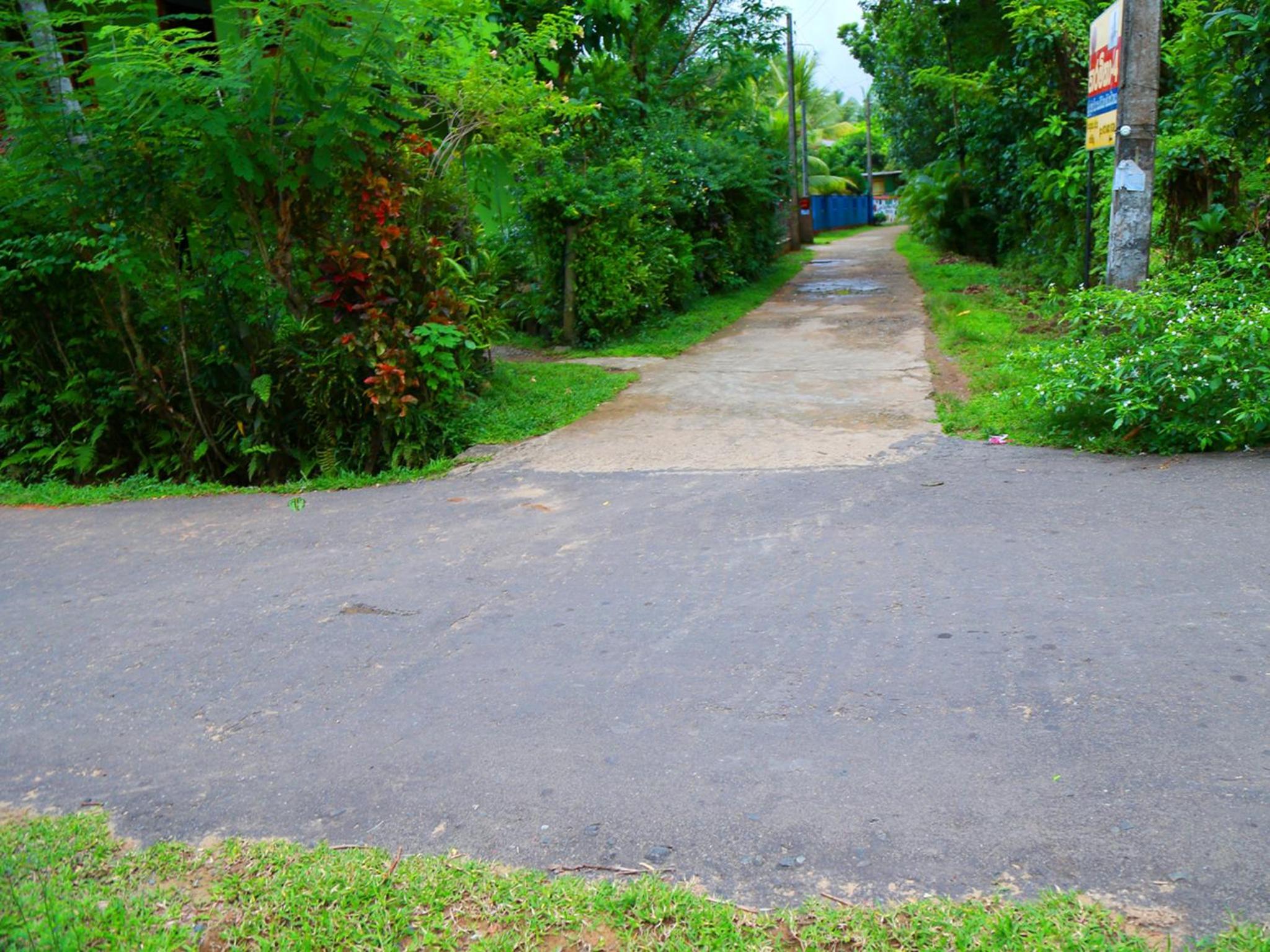 Photo 31