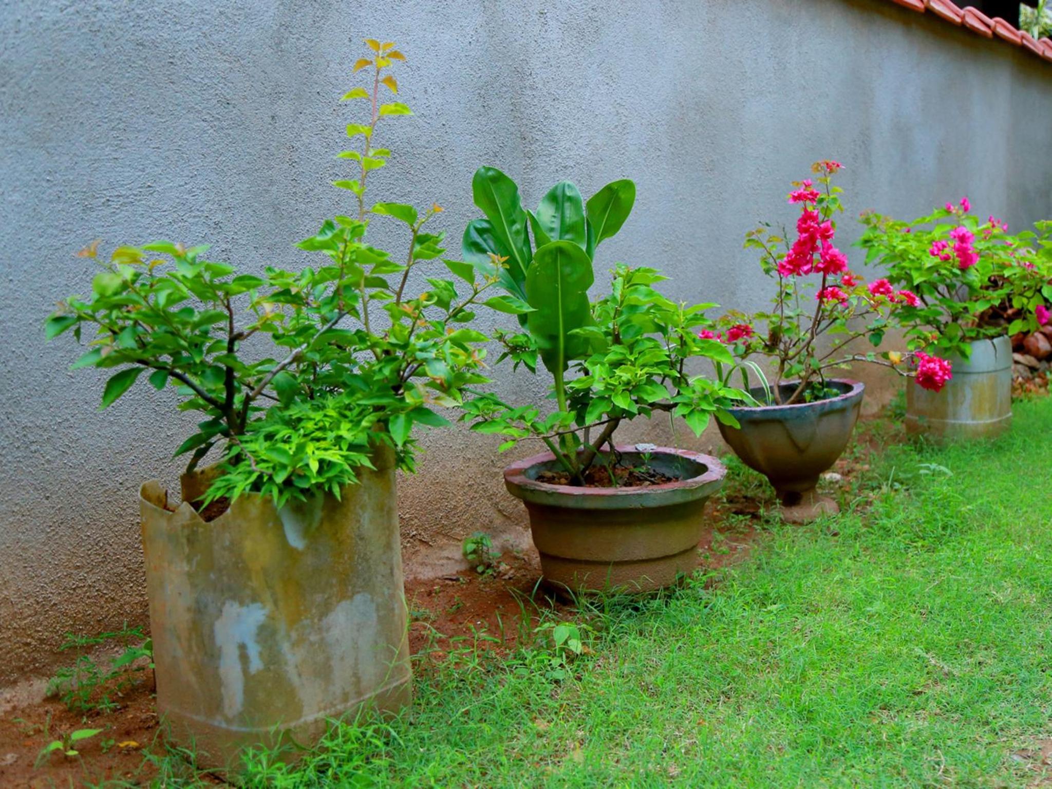 Photo 27