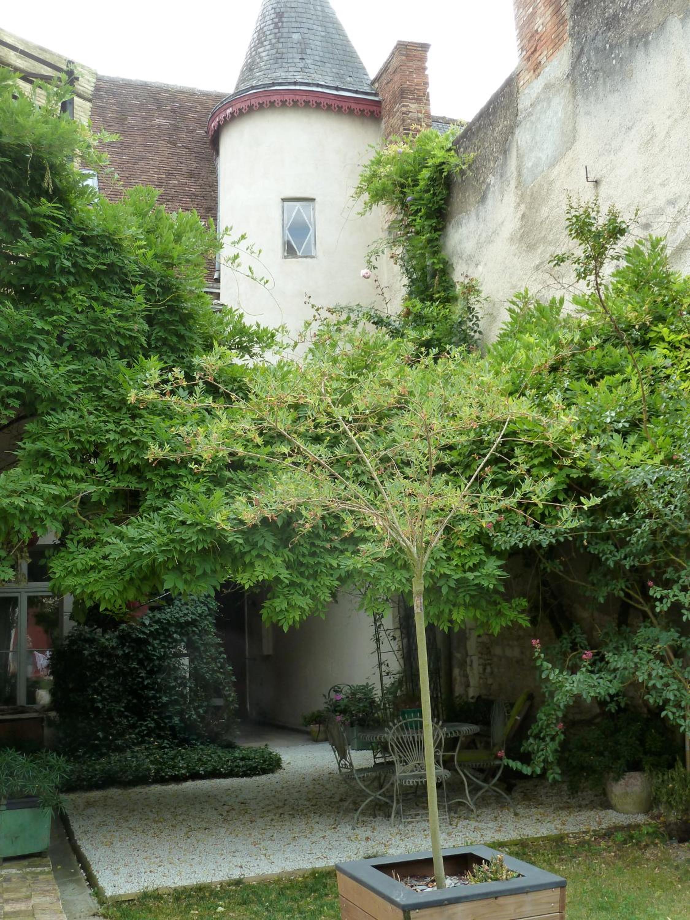 Le Jardin Andrinople view 2