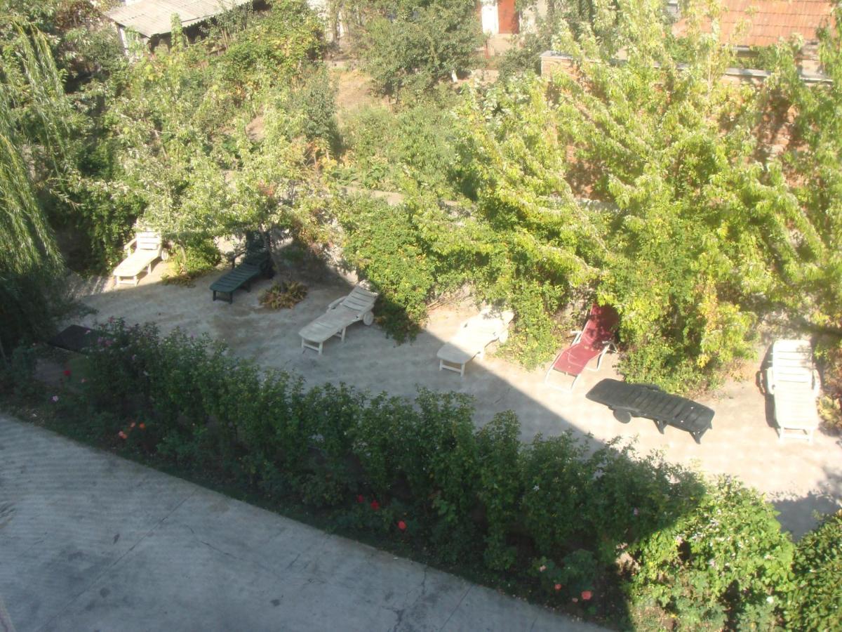 garden