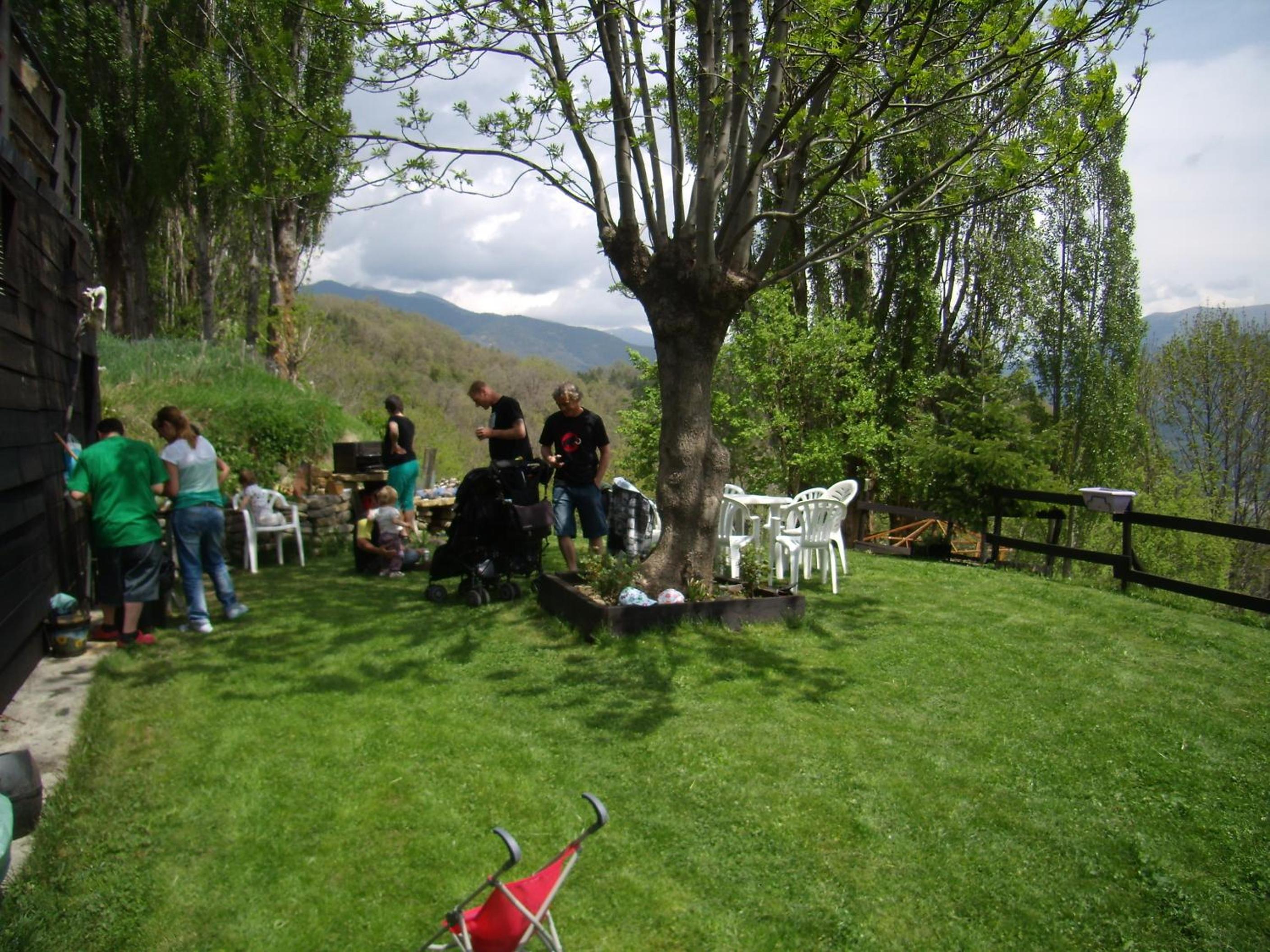 Photo 12