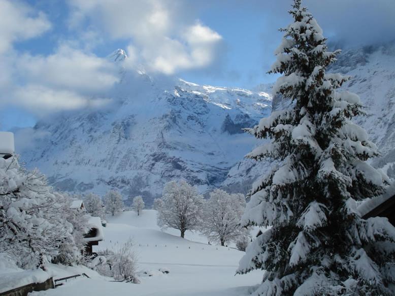 Chrinnengletscher