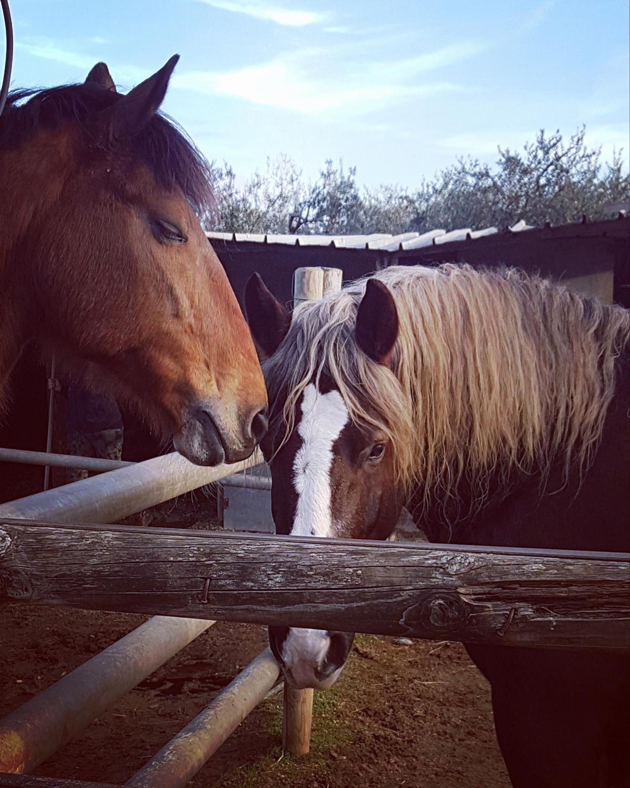 other