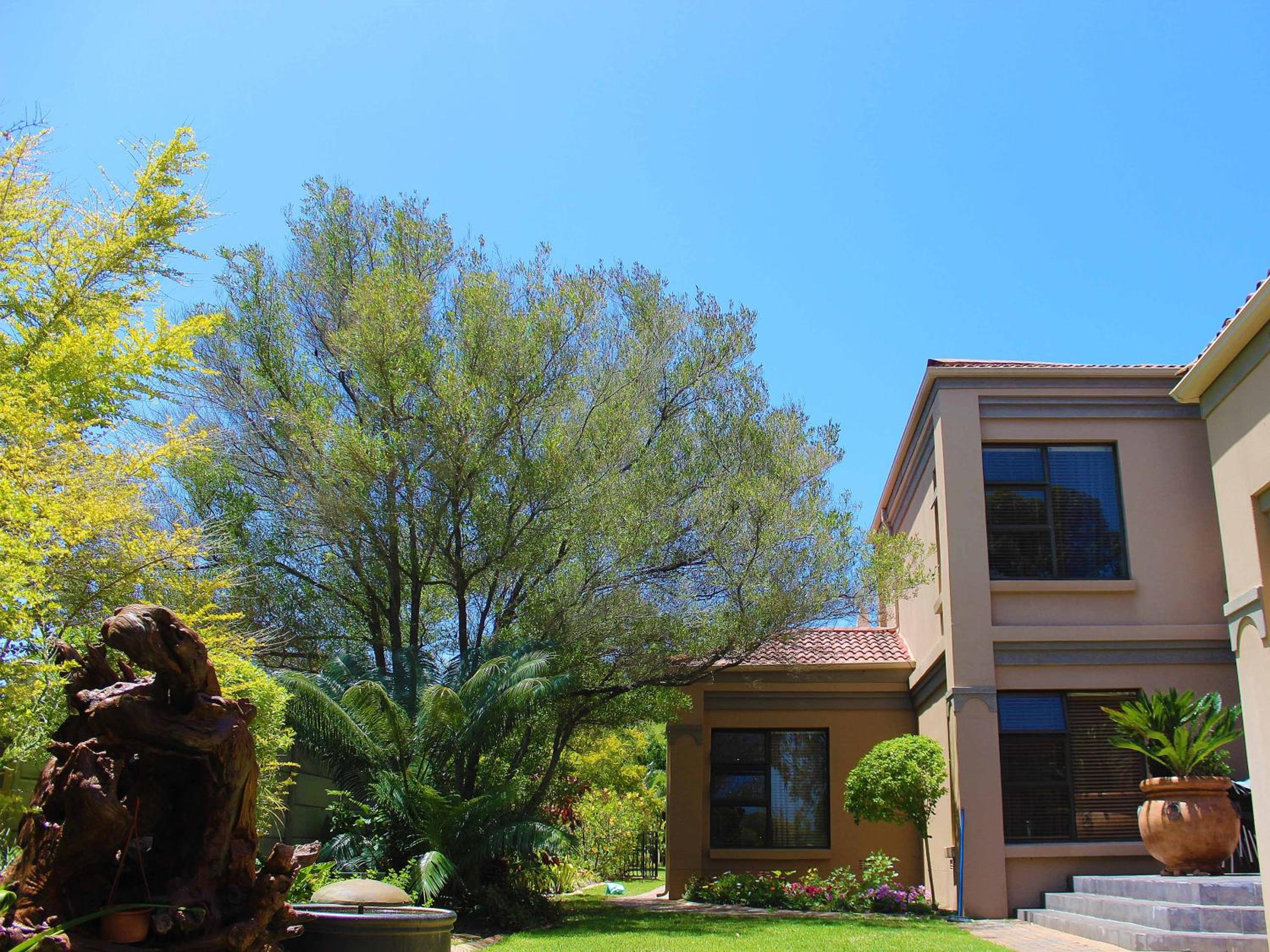 House Hibiscus view 3