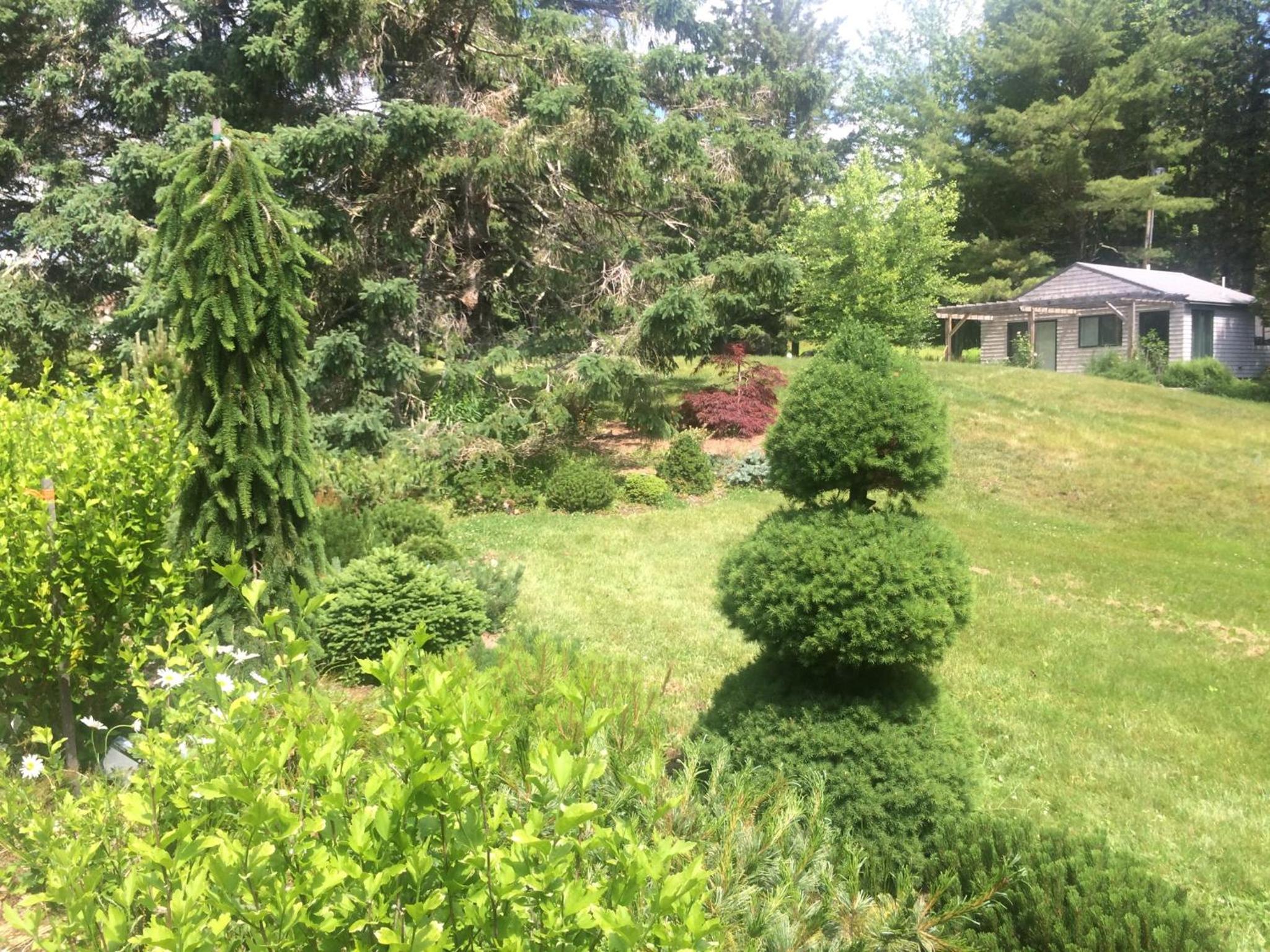 Photo 20