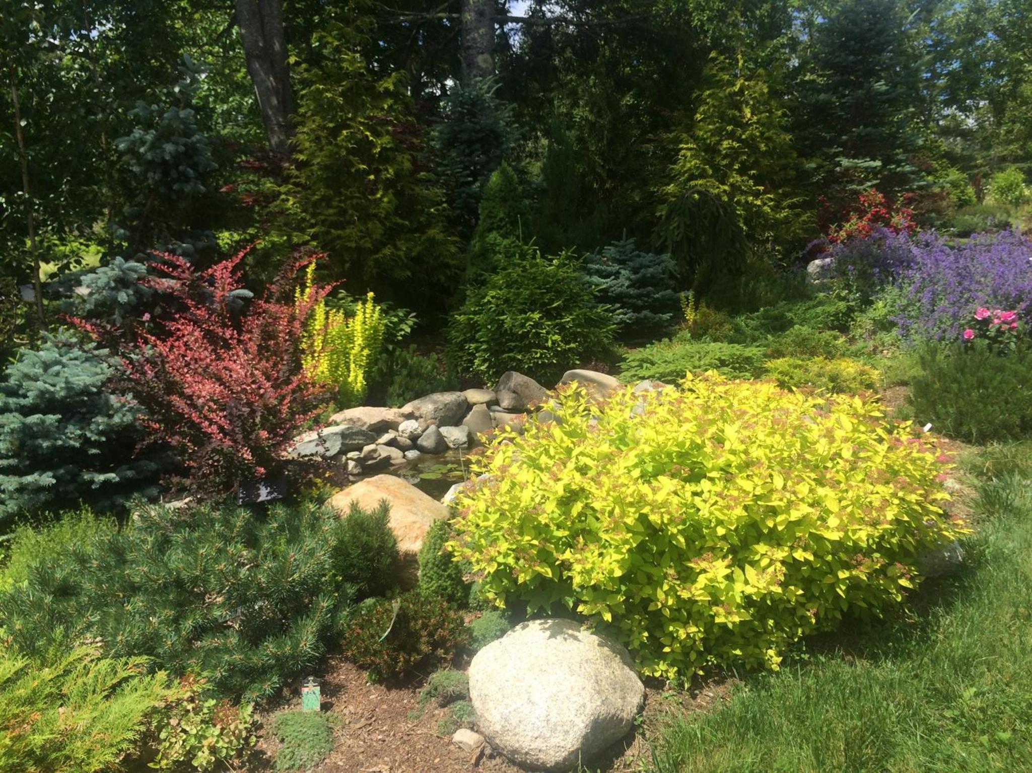 Photo 28