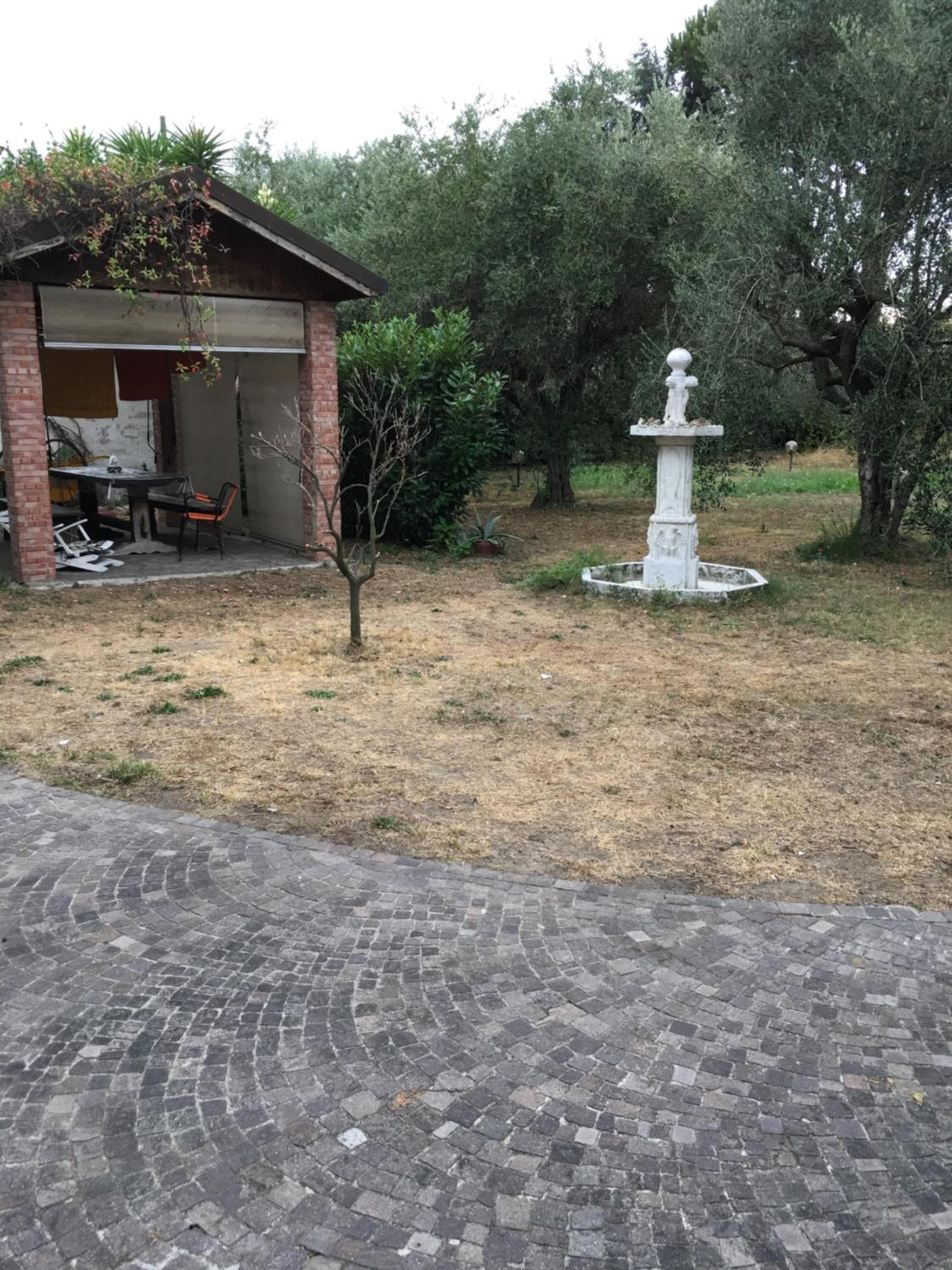 Photo 32