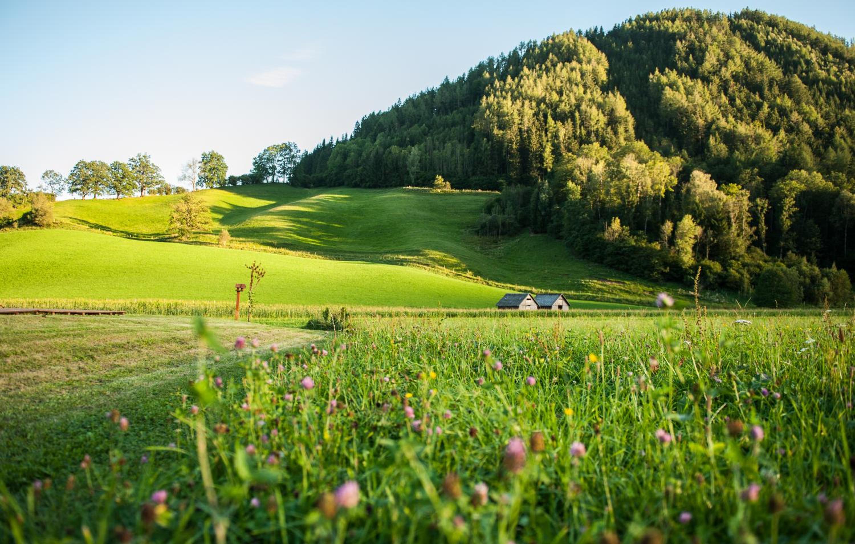 Resort Amadeus-Landhaus Amadeus