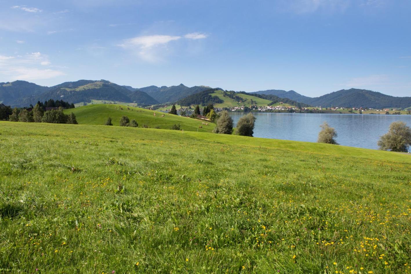 B&B Ferienhof am See