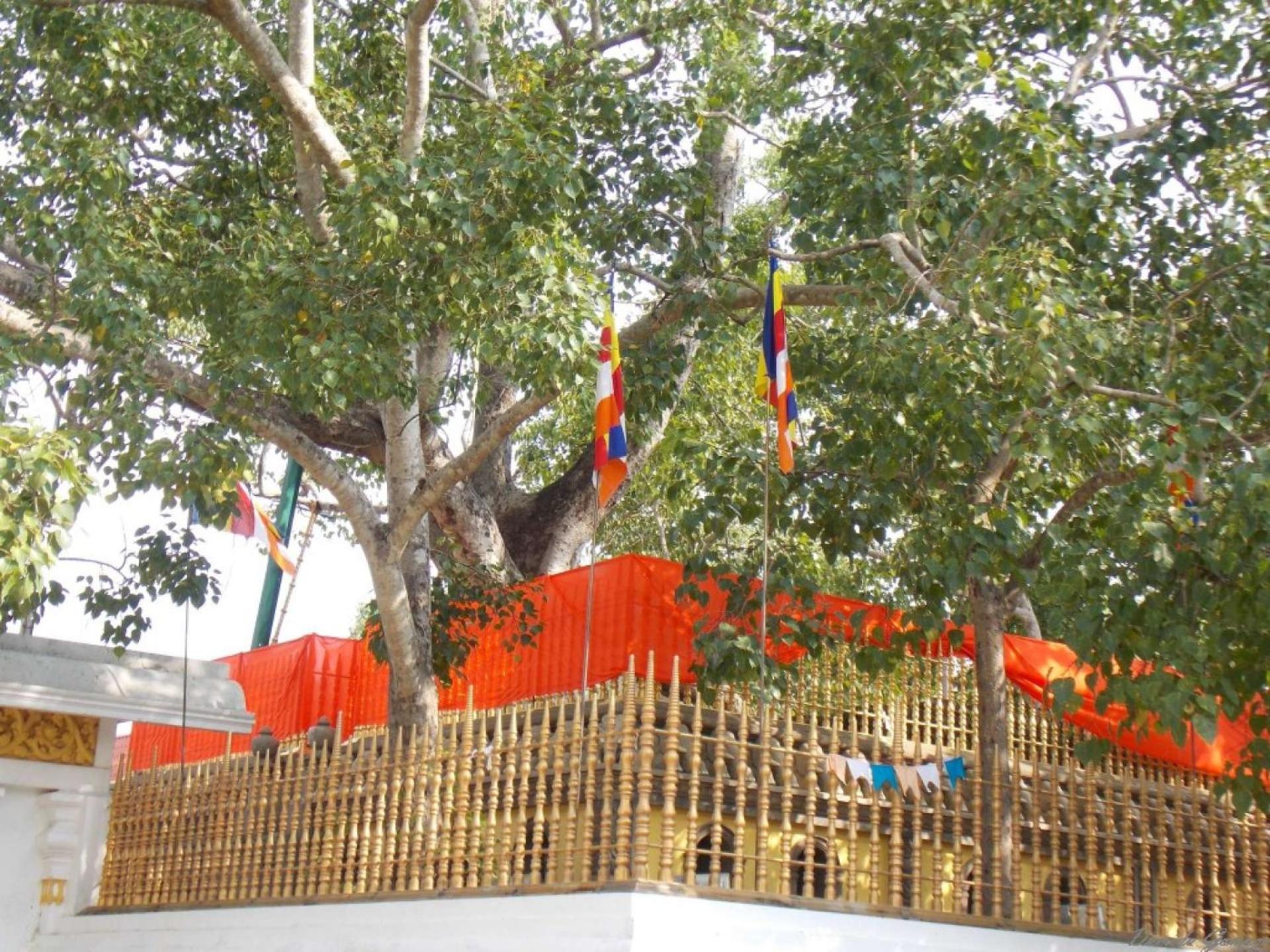Kubura Resort