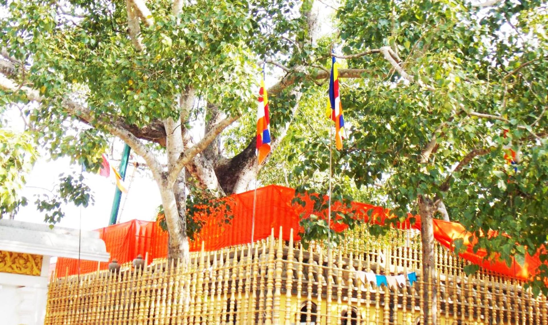 Kubura Resort