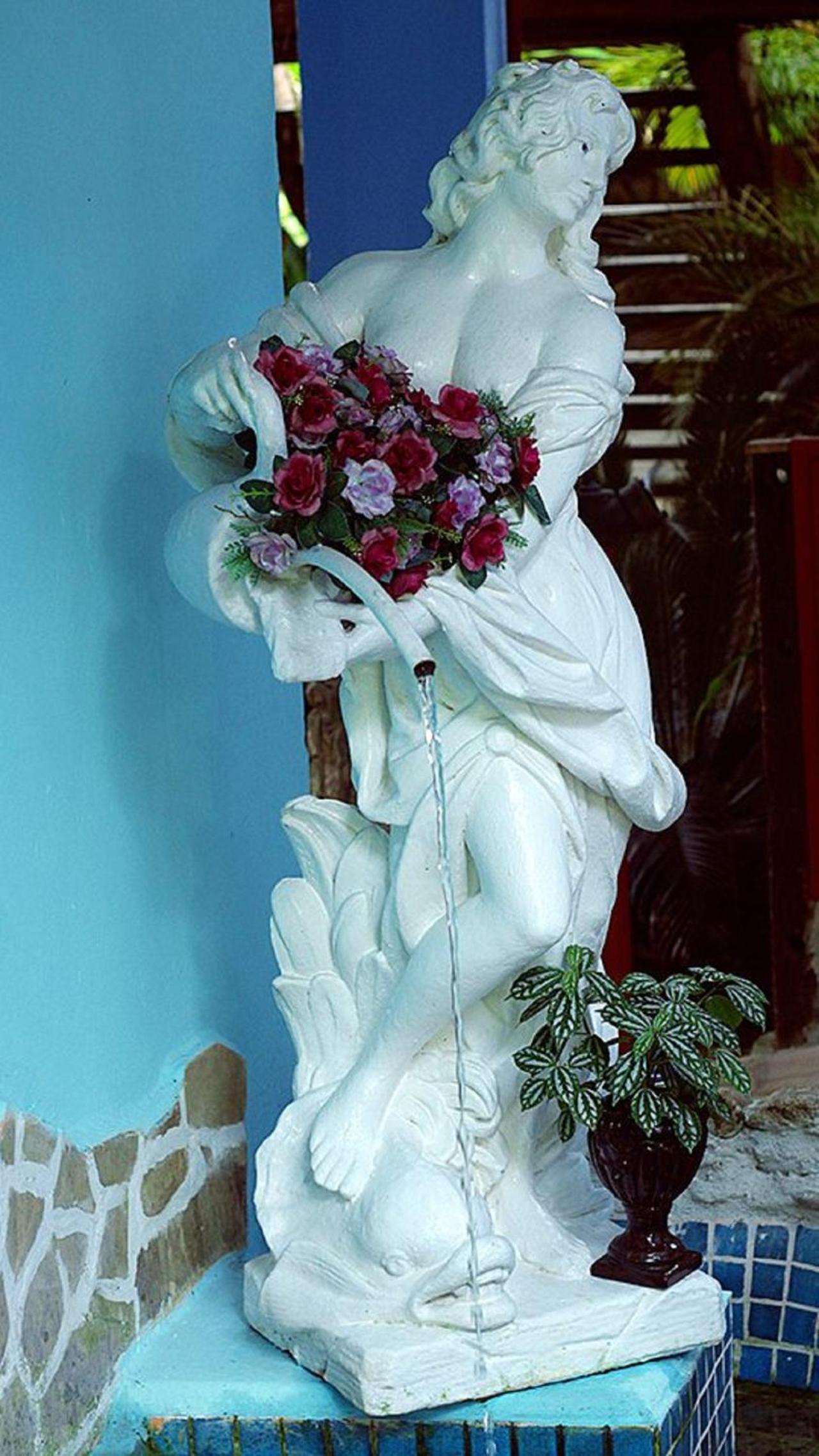 Photo 92
