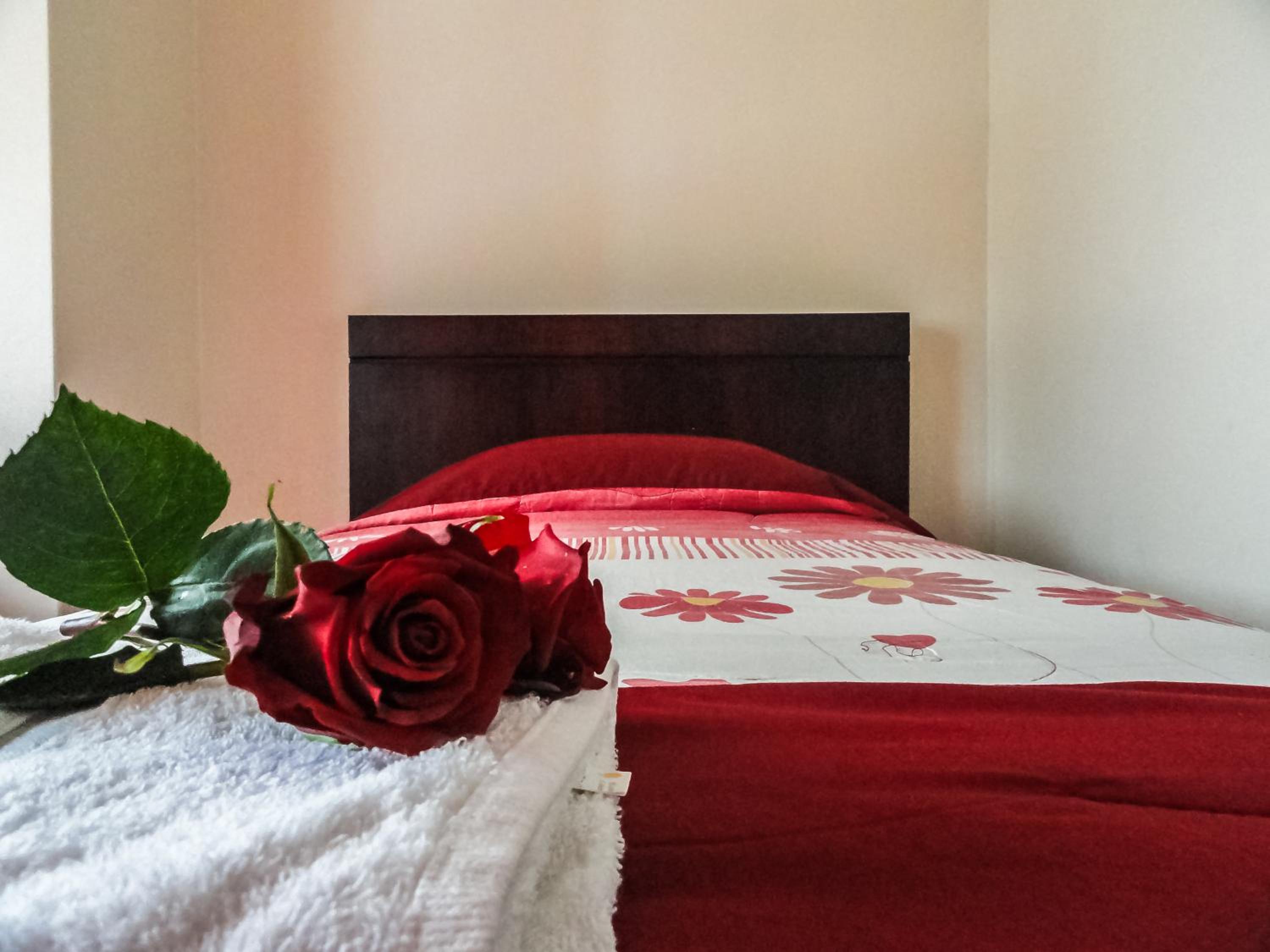 Hostal La Rosa Otavalo