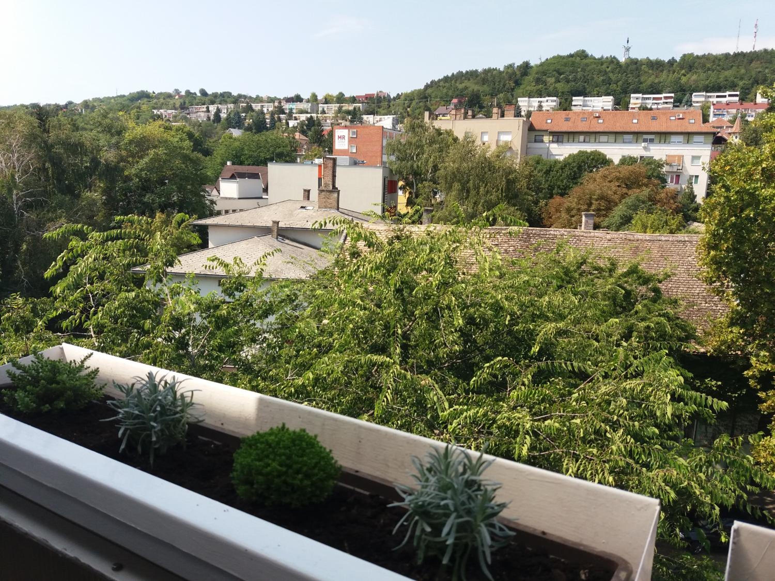 Málnás Macska Apartman view 4