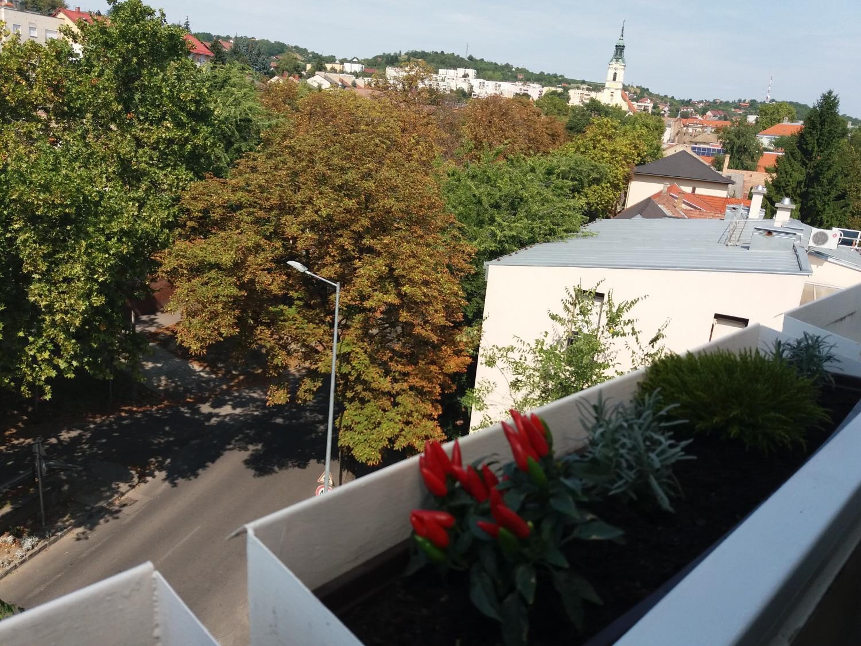 Málnás Macska Apartman view 5