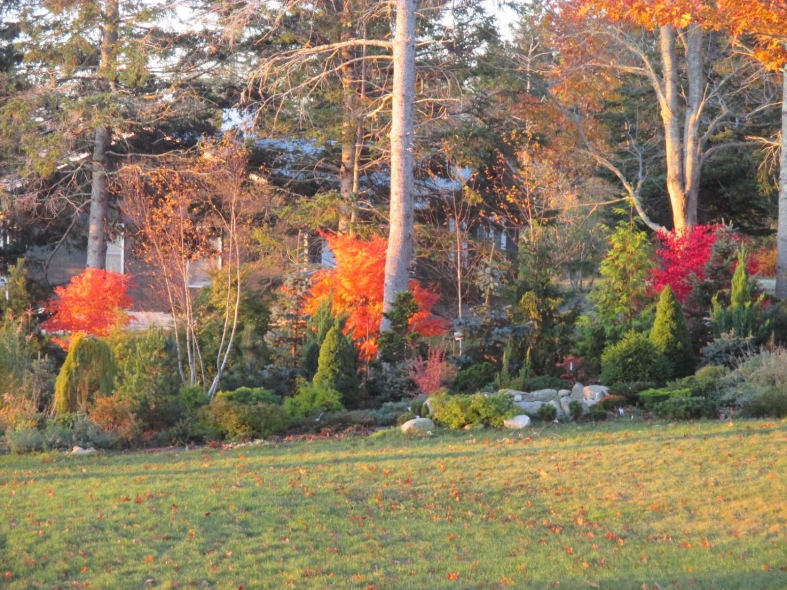 Photo 45