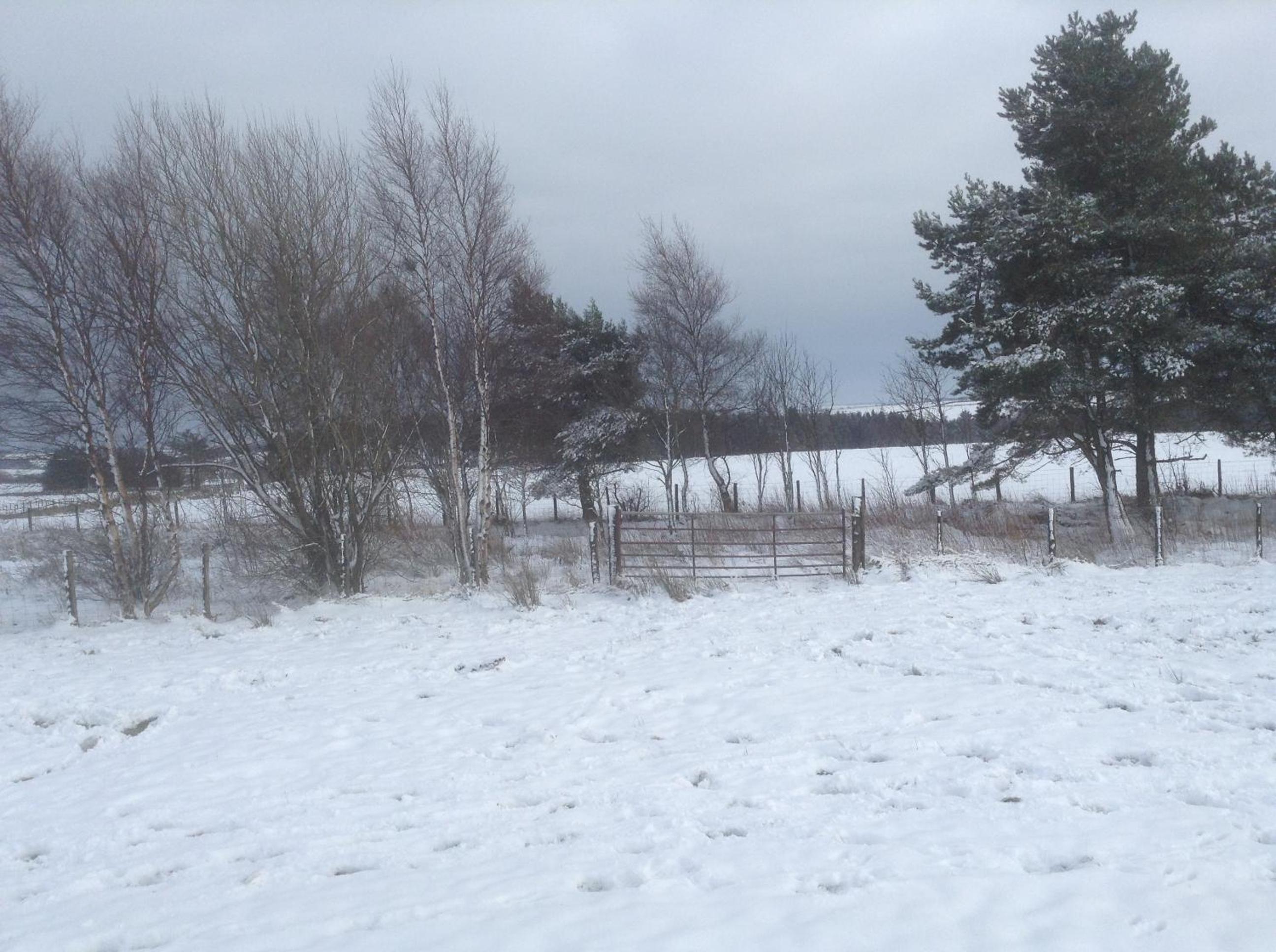 Bonners Lodge